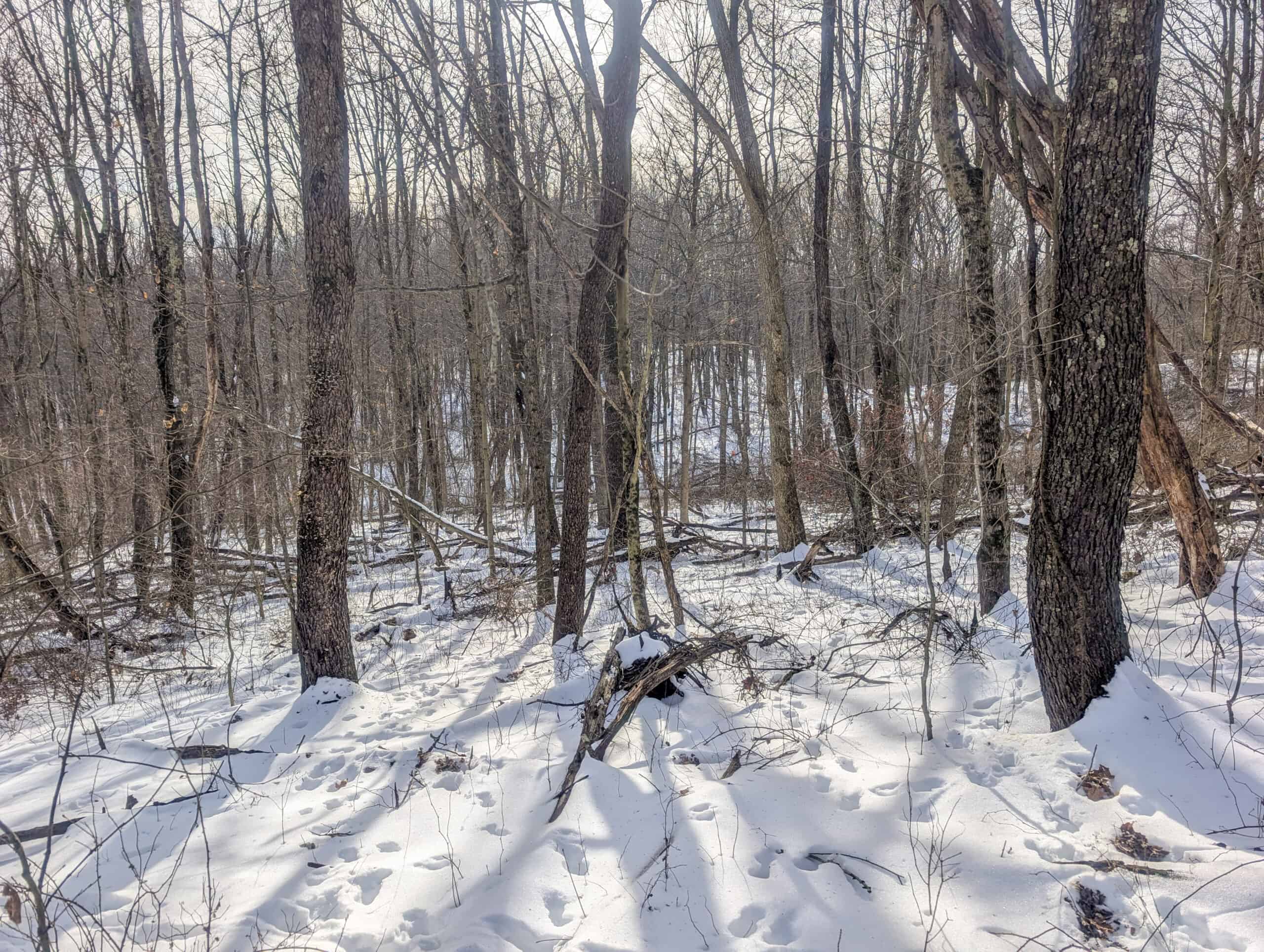 Tract 10- Gently rolling hillsides back a dead end road