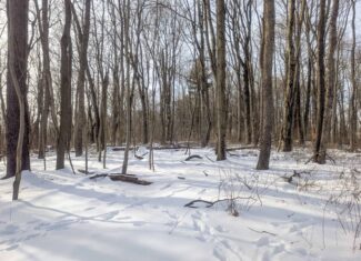 Tract 10- Gently rolling hillsides back a dead end road