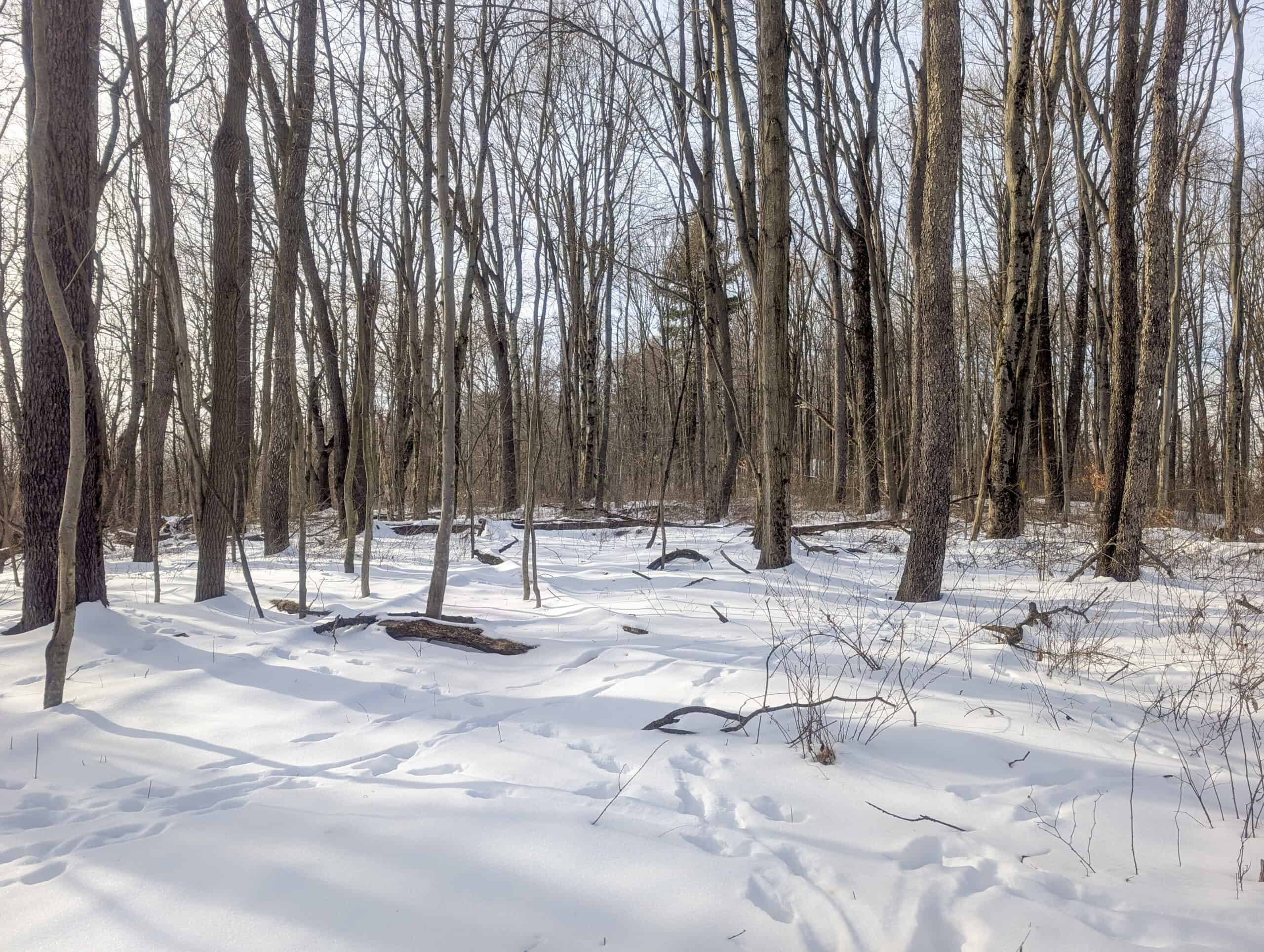 Tract 10- Gently rolling hillsides back a dead end road