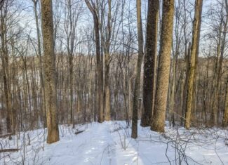 Tract 10- Gently rolling hillsides back a dead end road