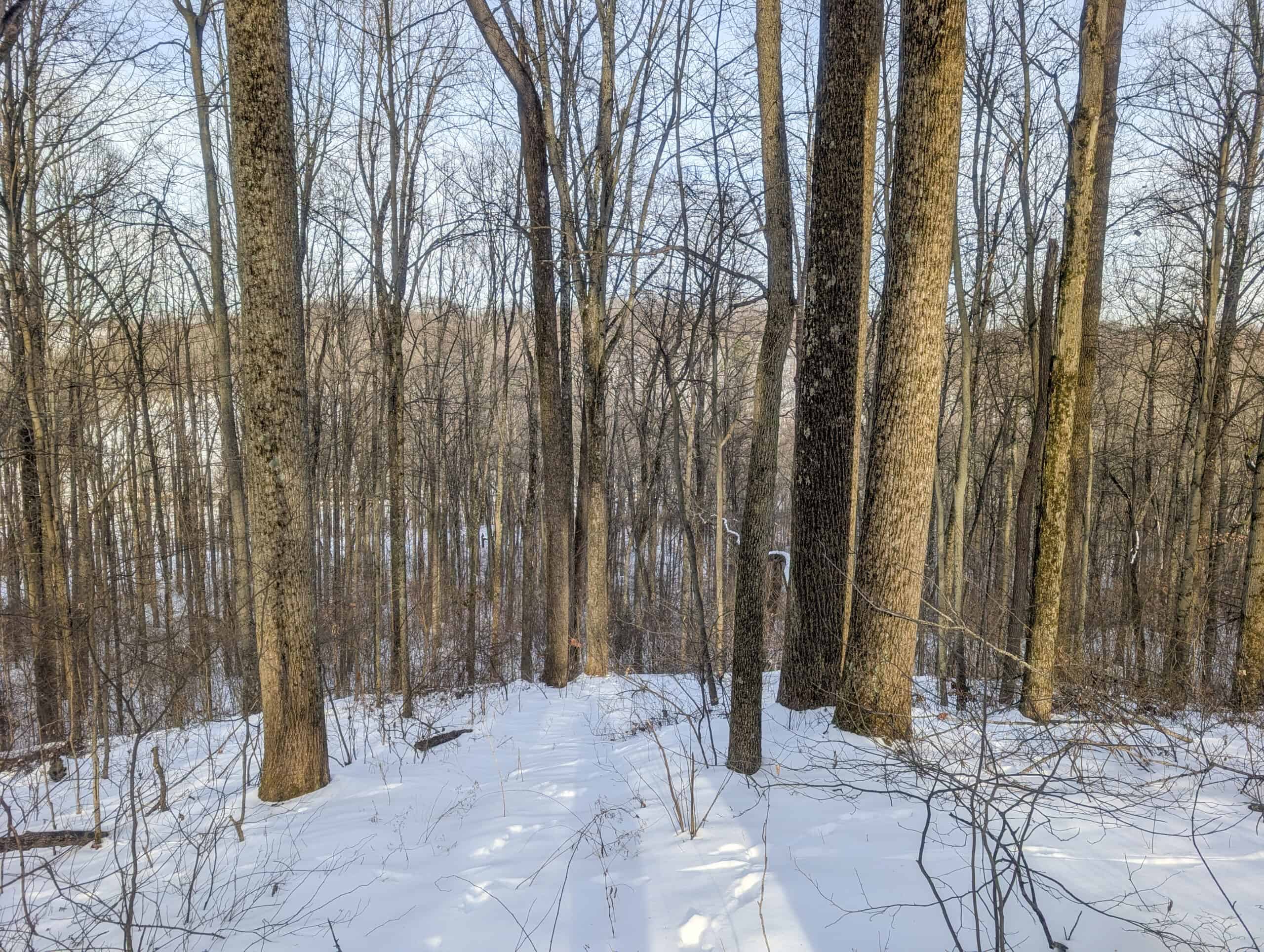 Tract 10- Gently rolling hillsides back a dead end road