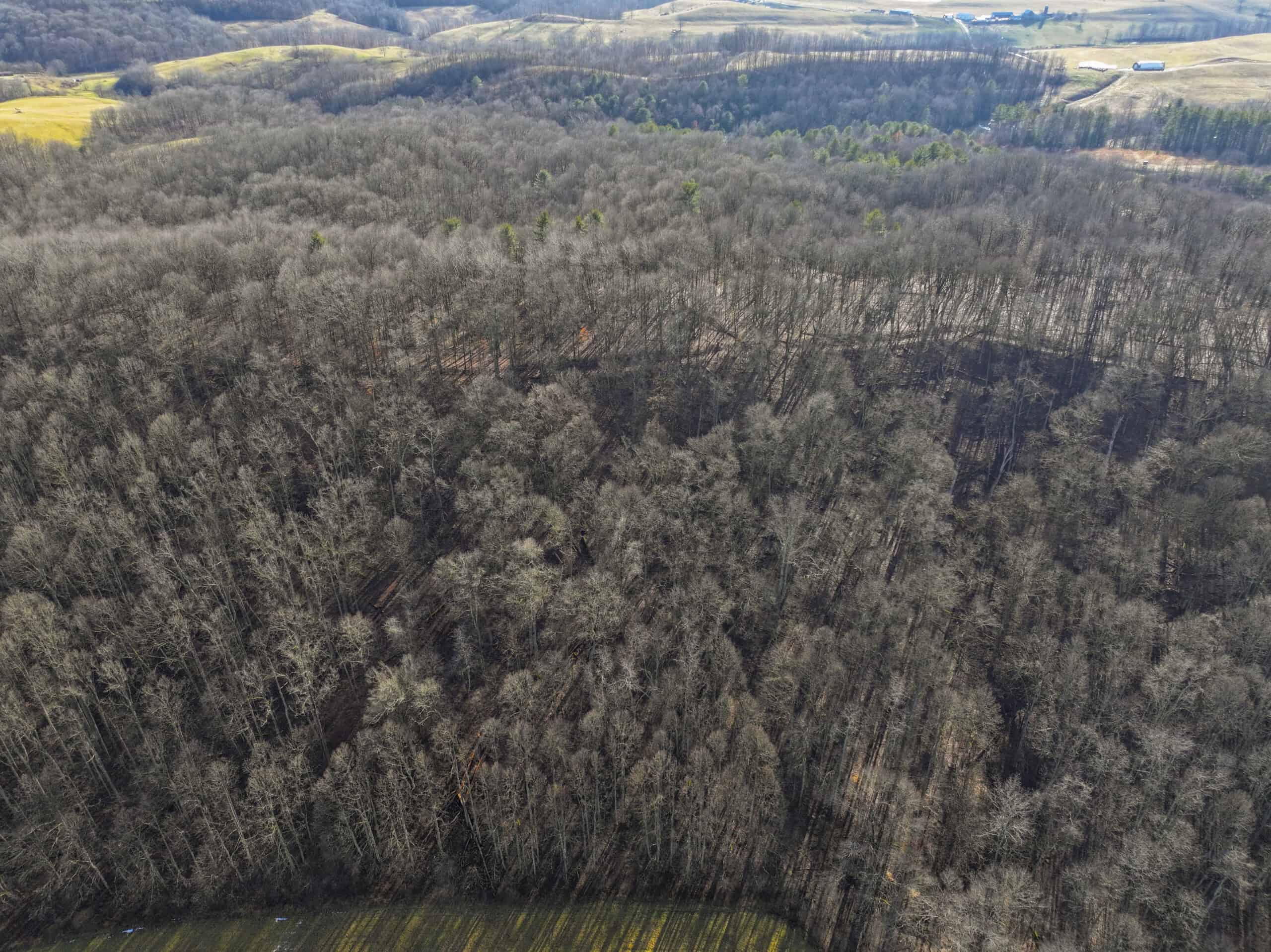 Tract 10- Gently rolling hillsides back a dead end road