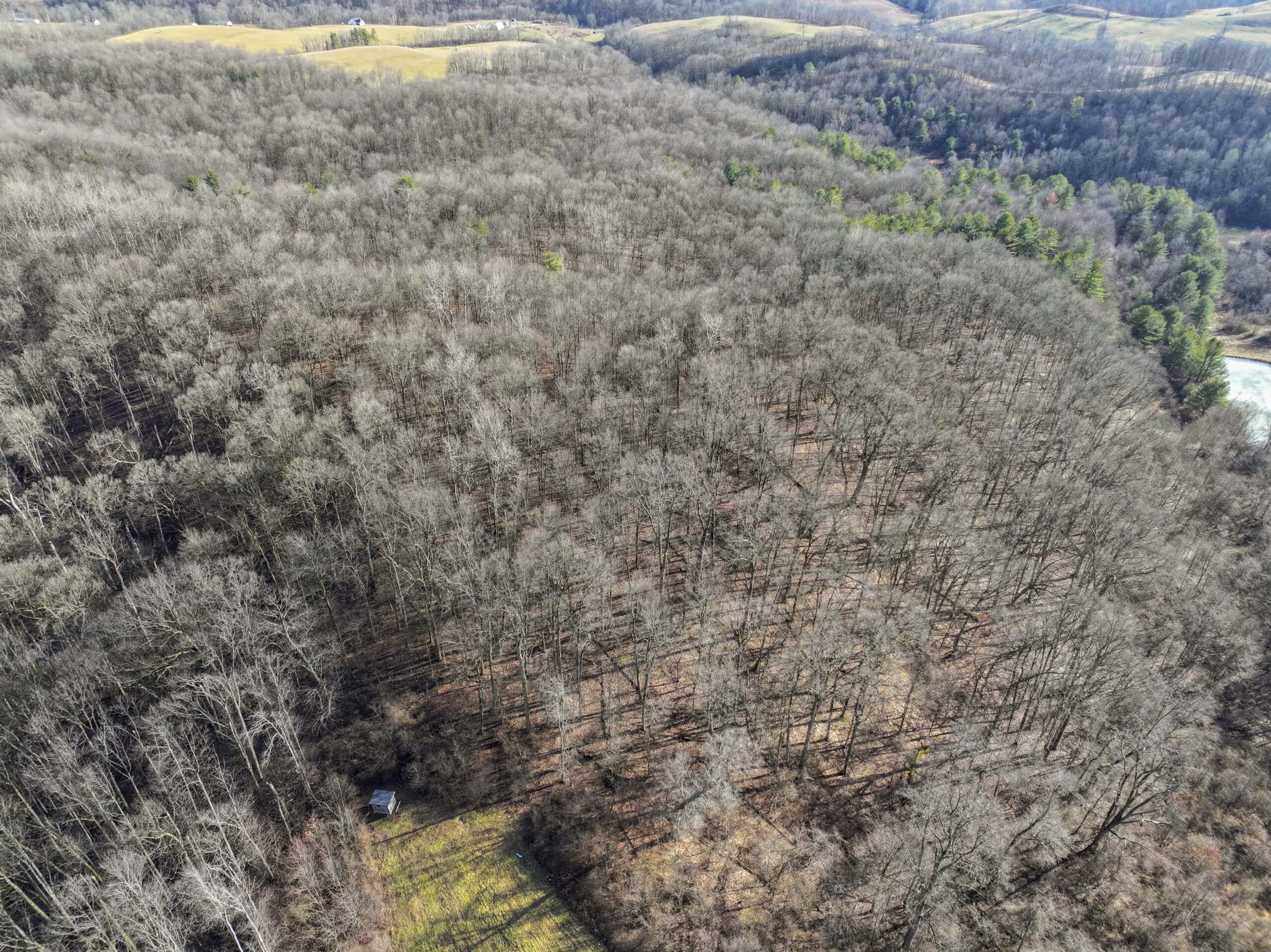 Tract 10- Gently rolling hillsides back a dead end road