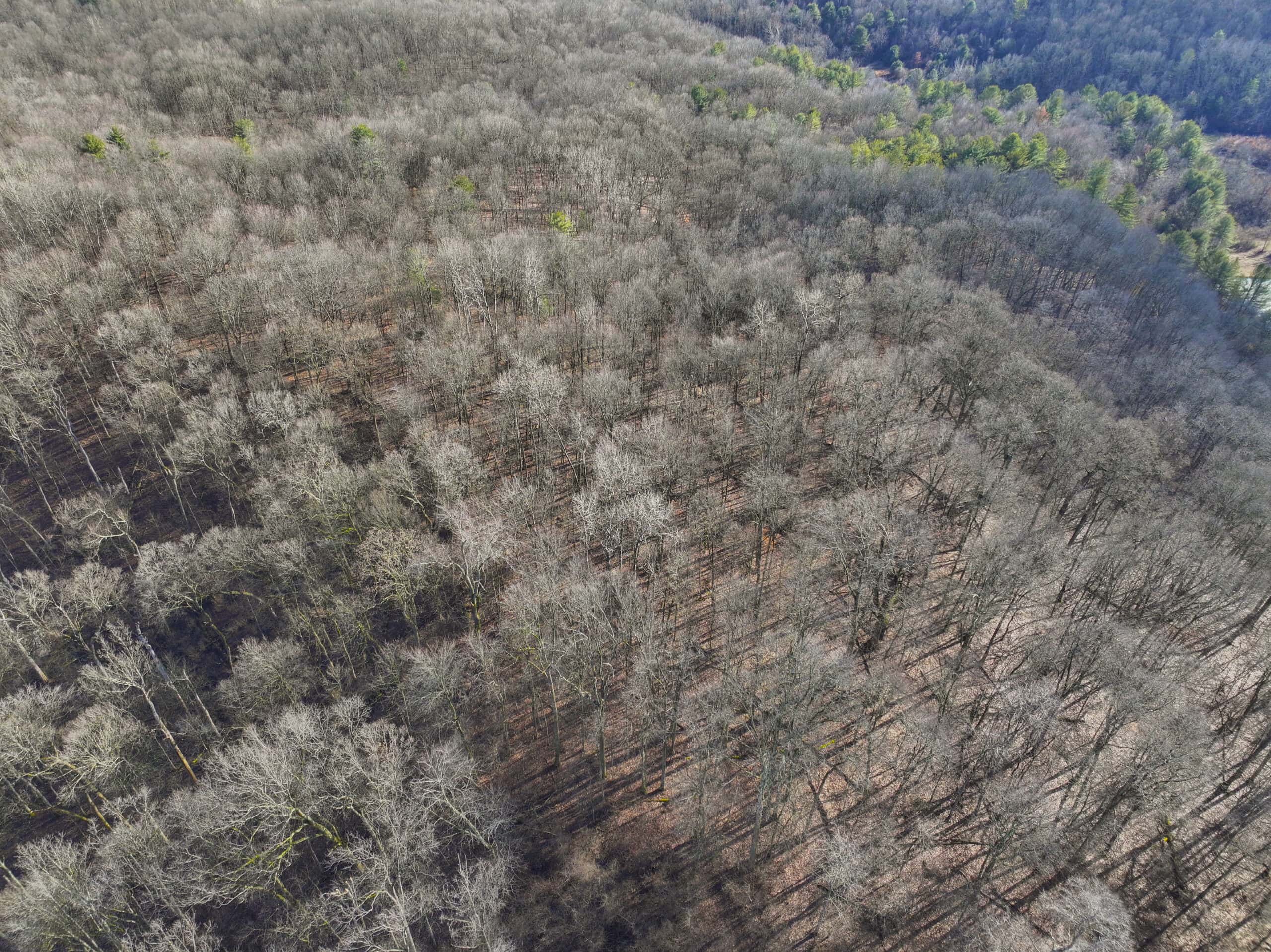 Tract 10- Gently rolling hillsides back a dead end road