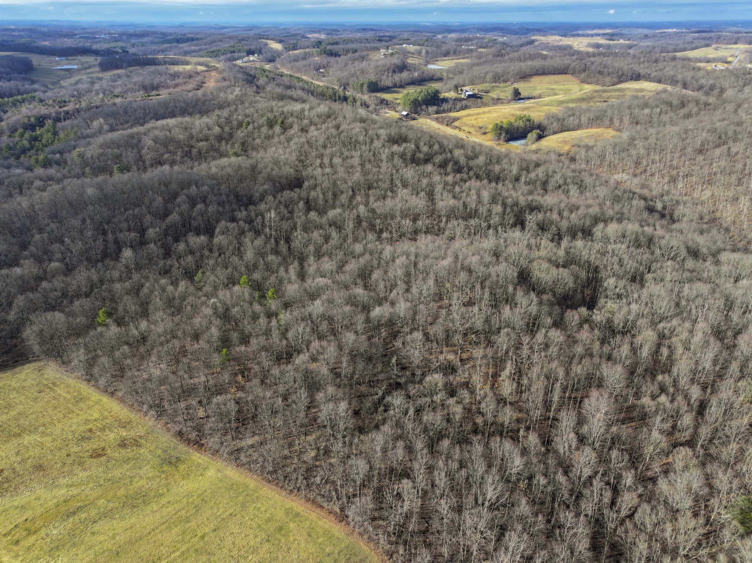 Tract 10- Gently rolling hillsides back a dead end road
