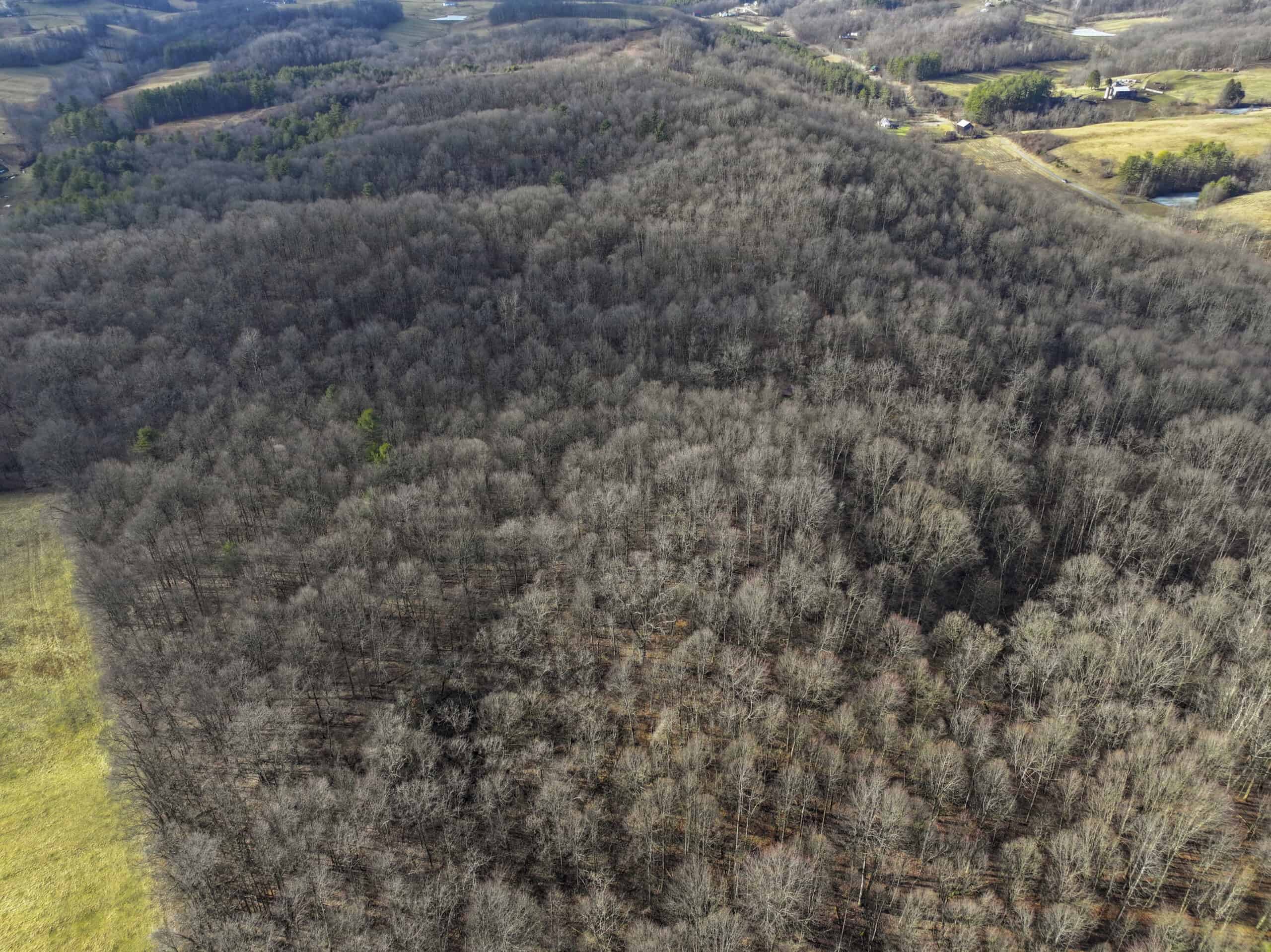 Tract 10- Gently rolling hillsides back a dead end road