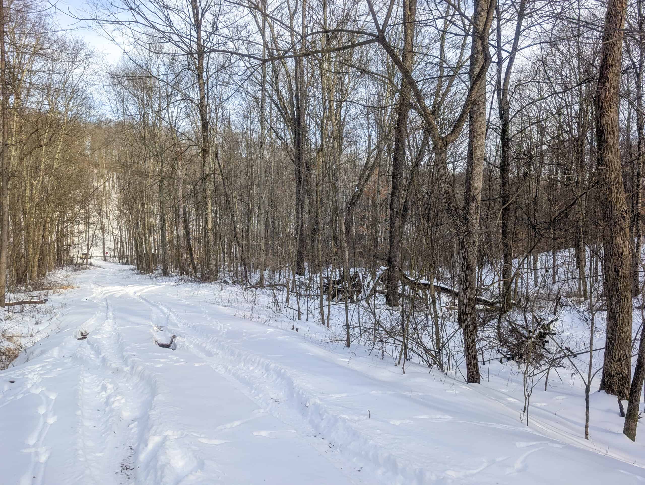 Tract 10- Gently rolling hillsides back a dead end road