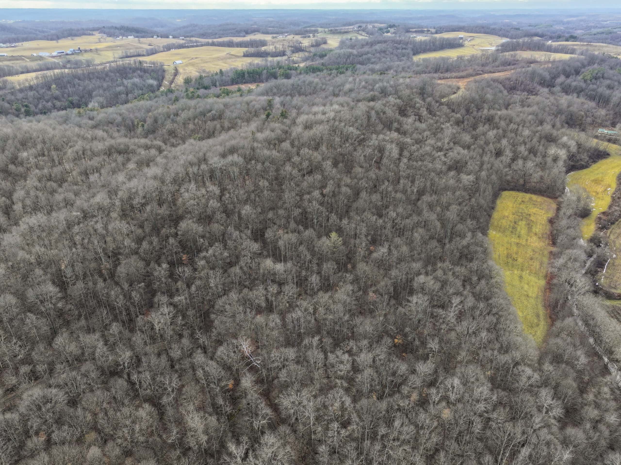 Tract 10- Gently rolling hillsides back a dead end road