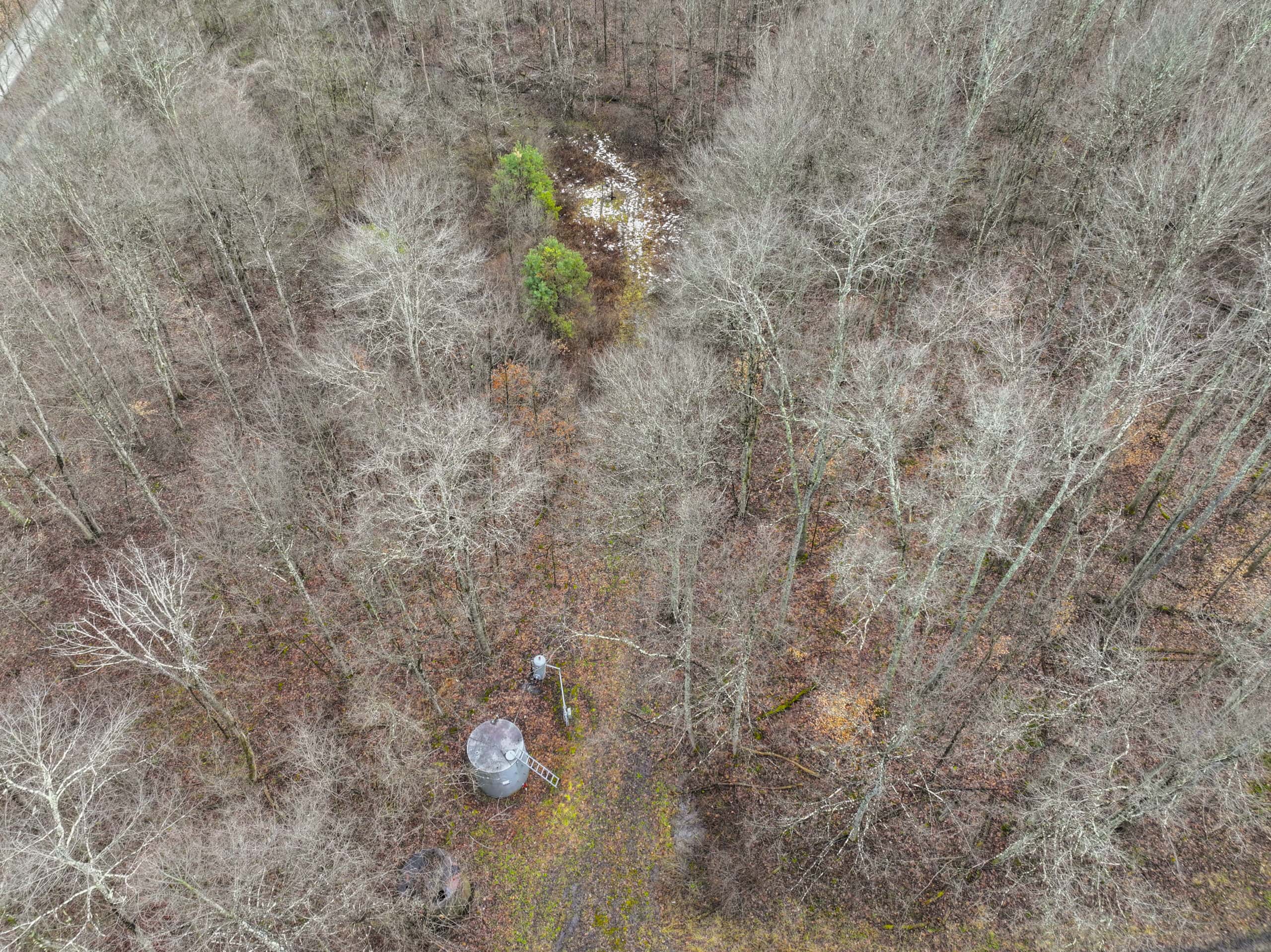 Tract 10- Gently rolling hillsides back a dead end road