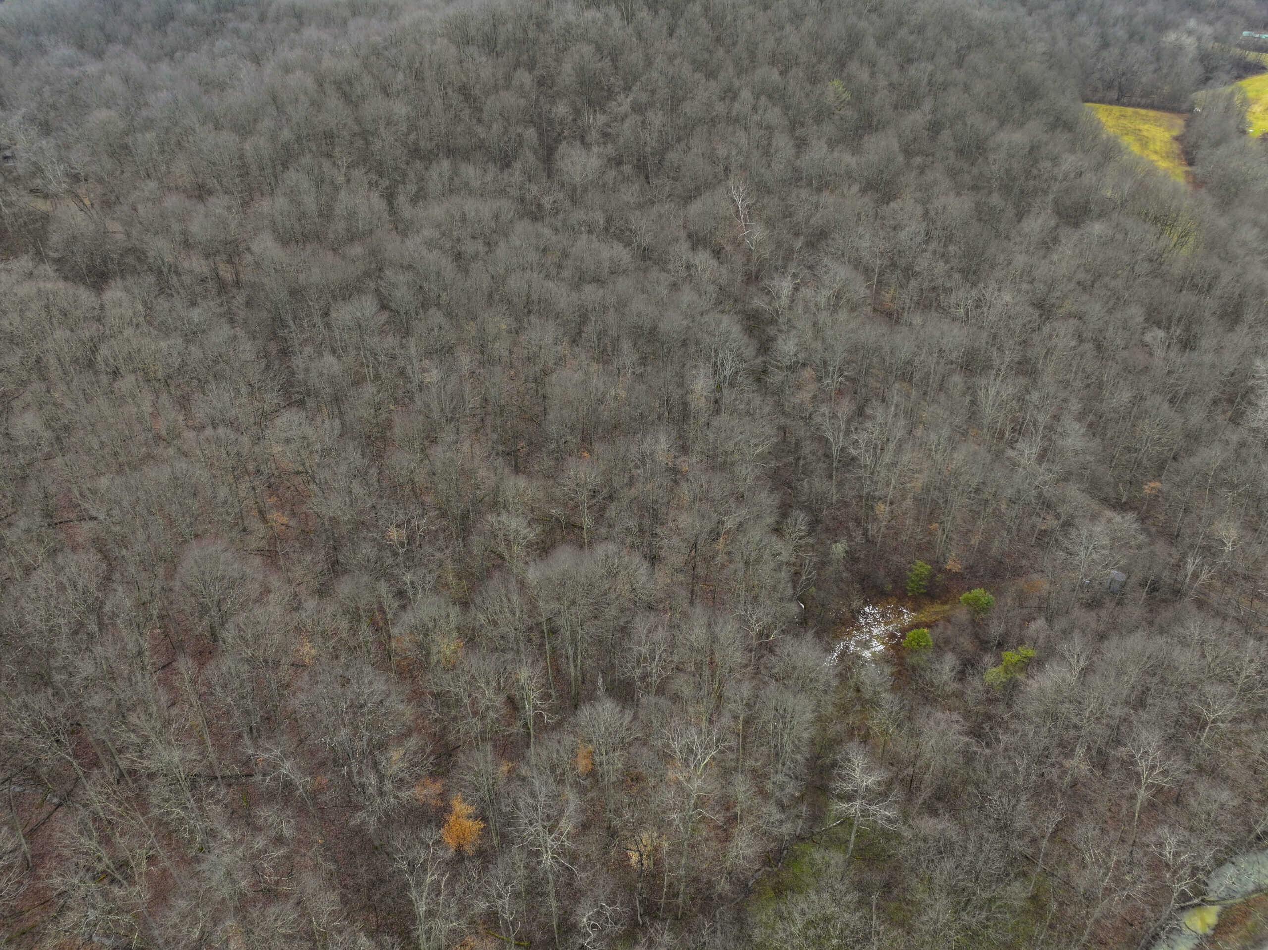 Tract 10- Gently rolling hillsides back a dead end road