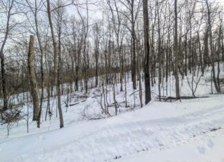 Tract 10- Gently rolling hillsides back a dead end road