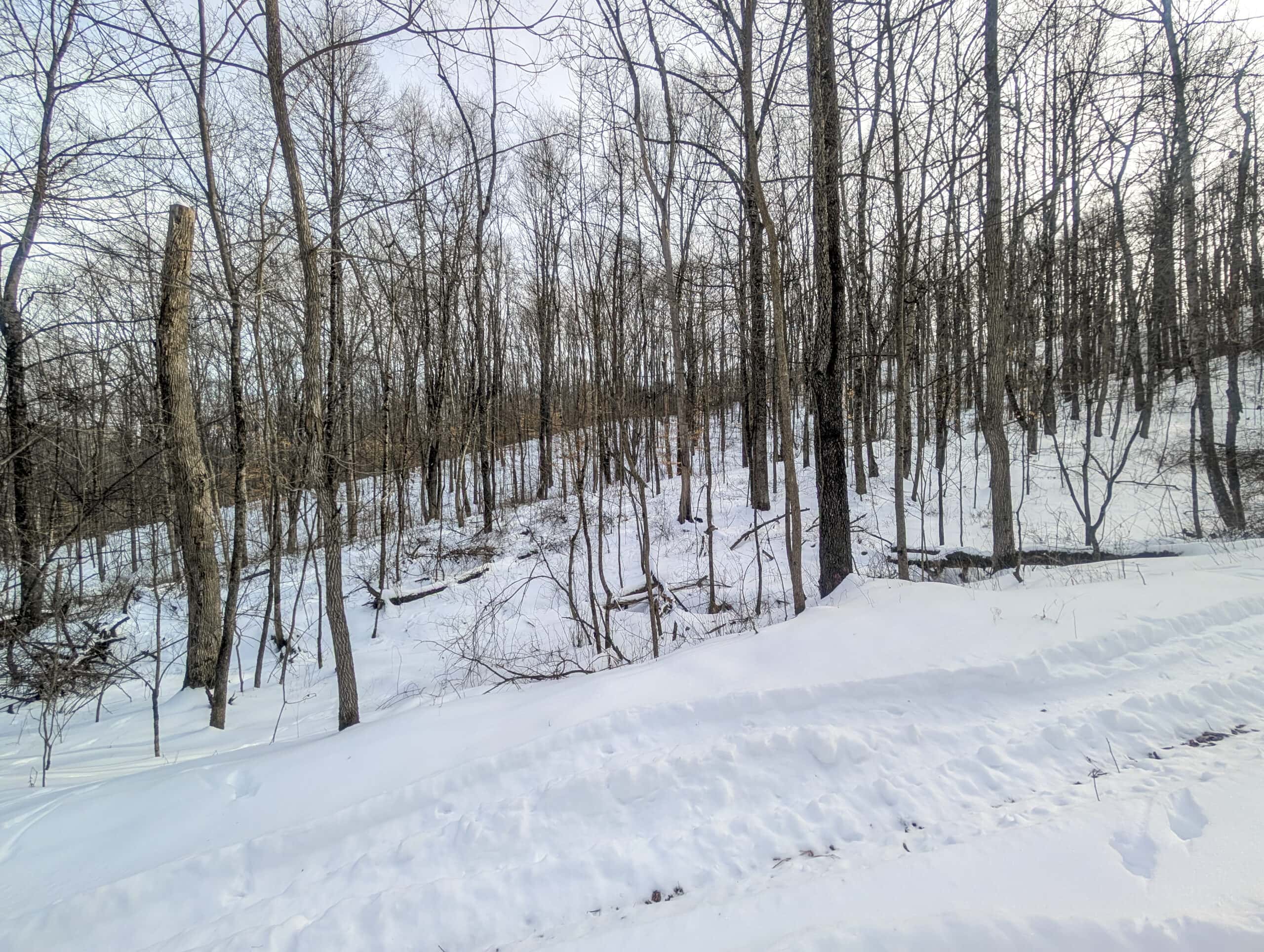 Tract 10- Gently rolling hillsides back a dead end road