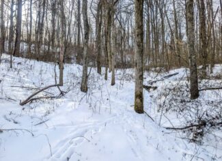 Tract 10- Gently rolling hillsides back a dead end road