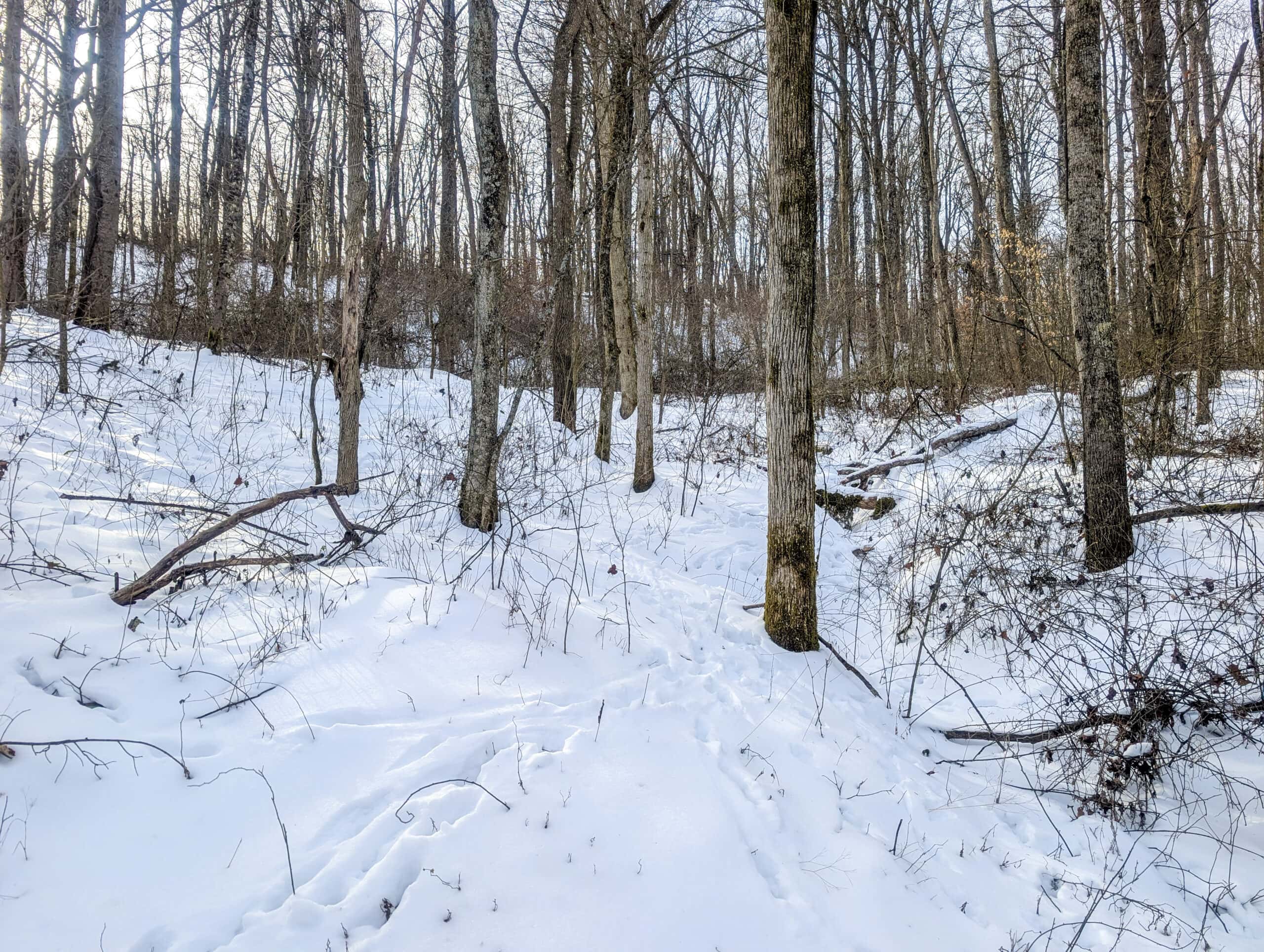 Tract 10- Gently rolling hillsides back a dead end road
