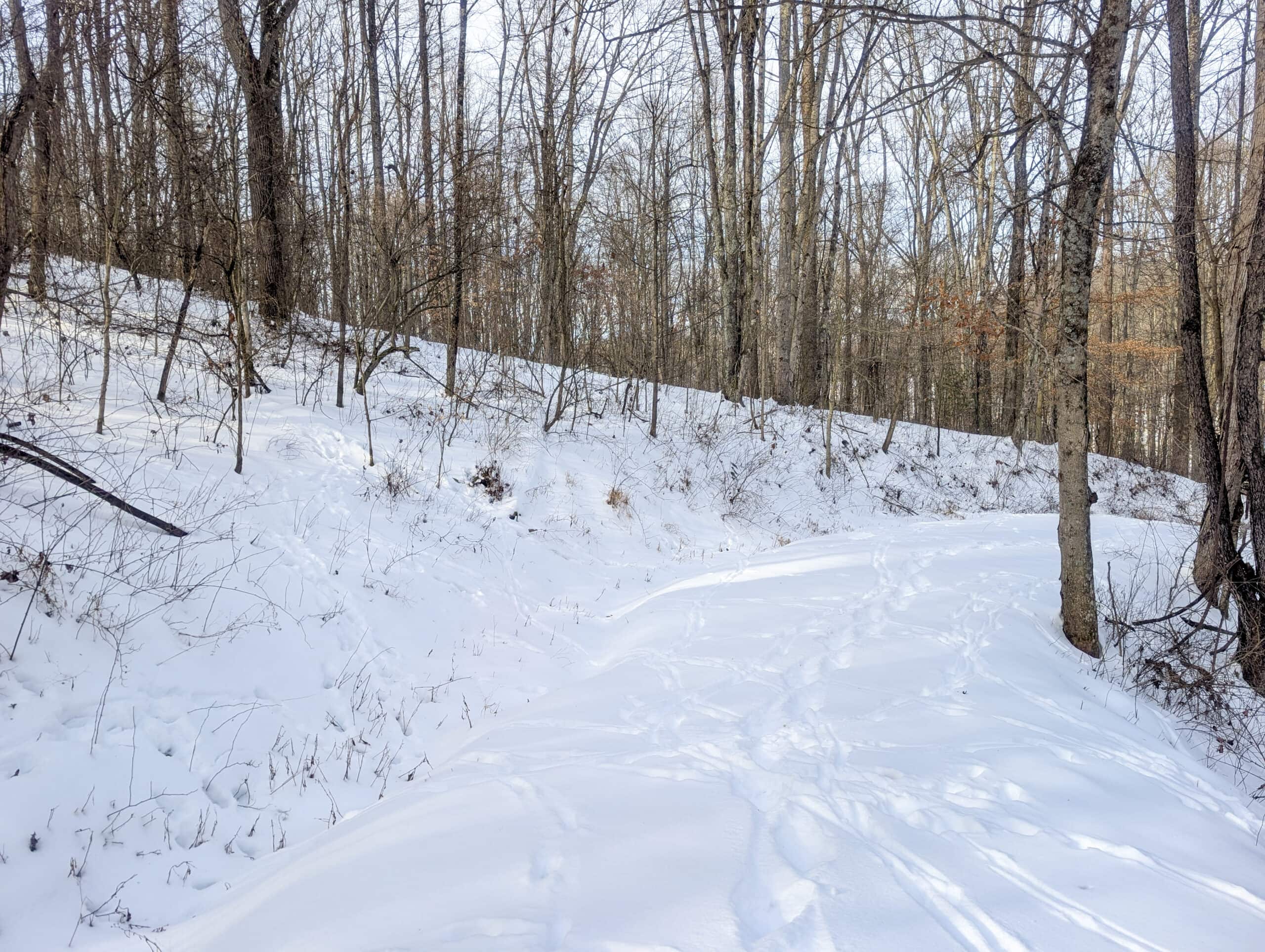 Tract 10- Gently rolling hillsides back a dead end road