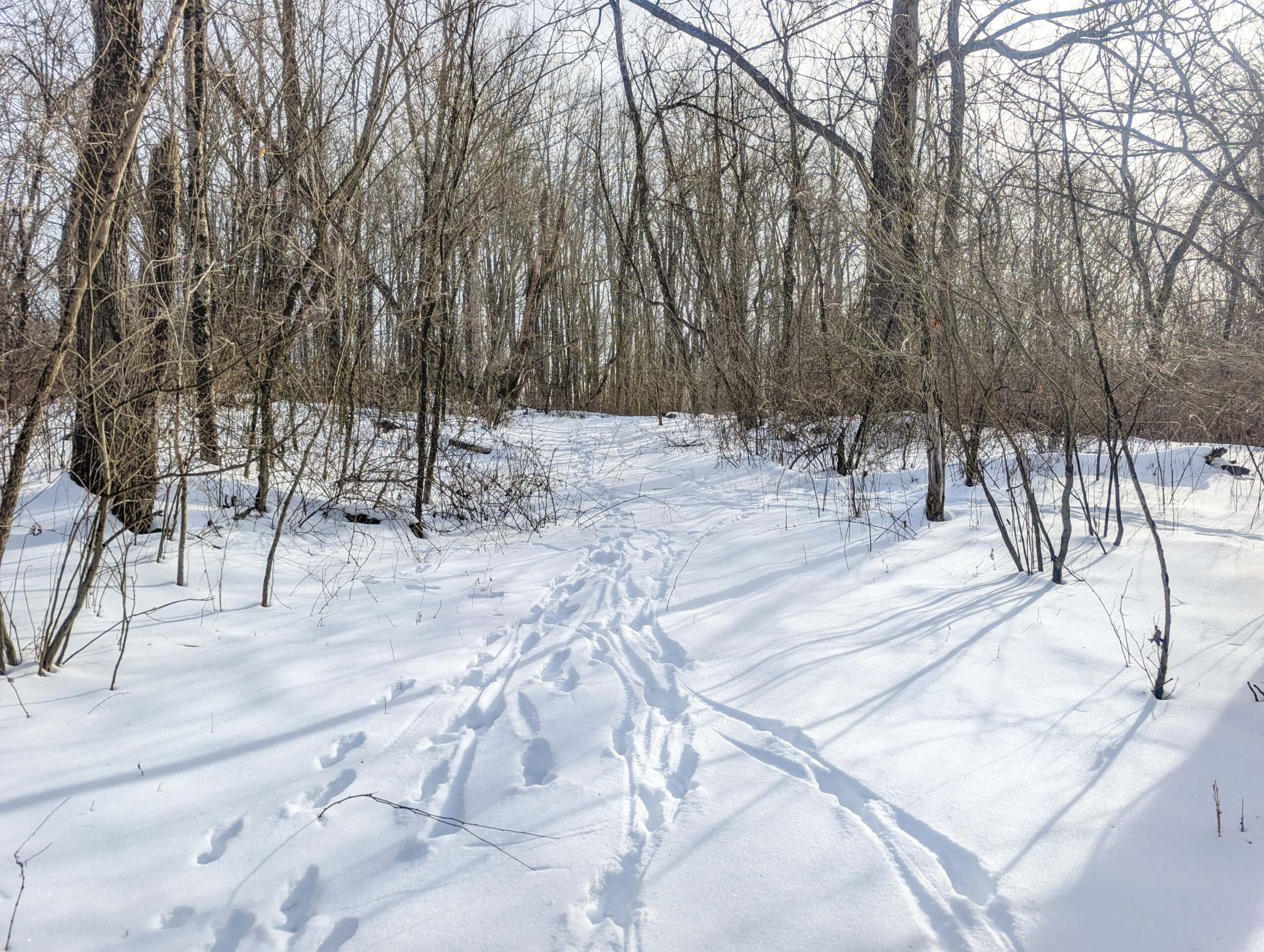 Tract 10- Gently rolling hillsides back a dead end road