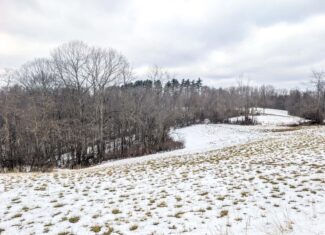 Tract 12- Outdoorsman Dream Hunting Property