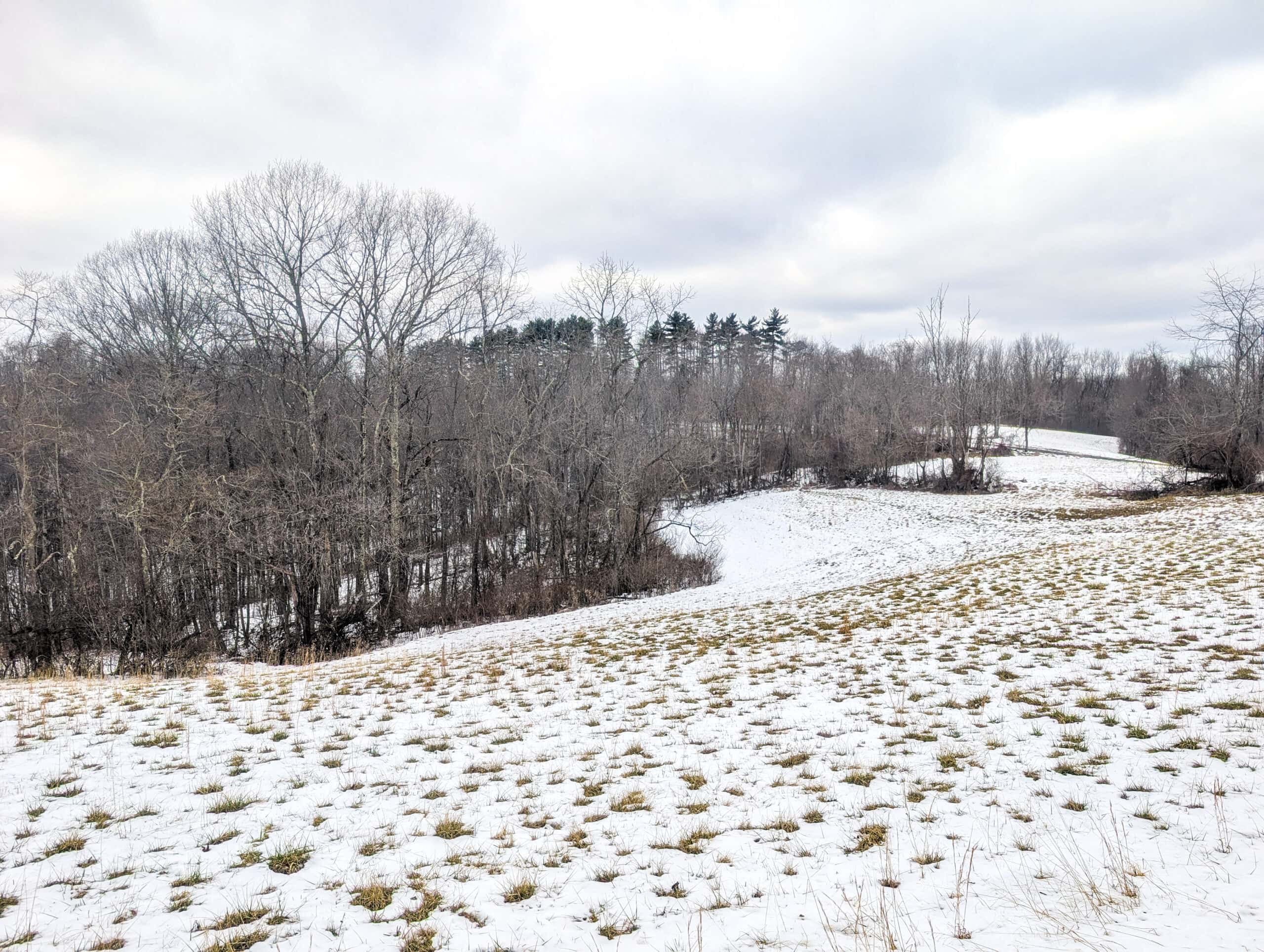 Tract 12- Outdoorsman Dream Hunting Property
