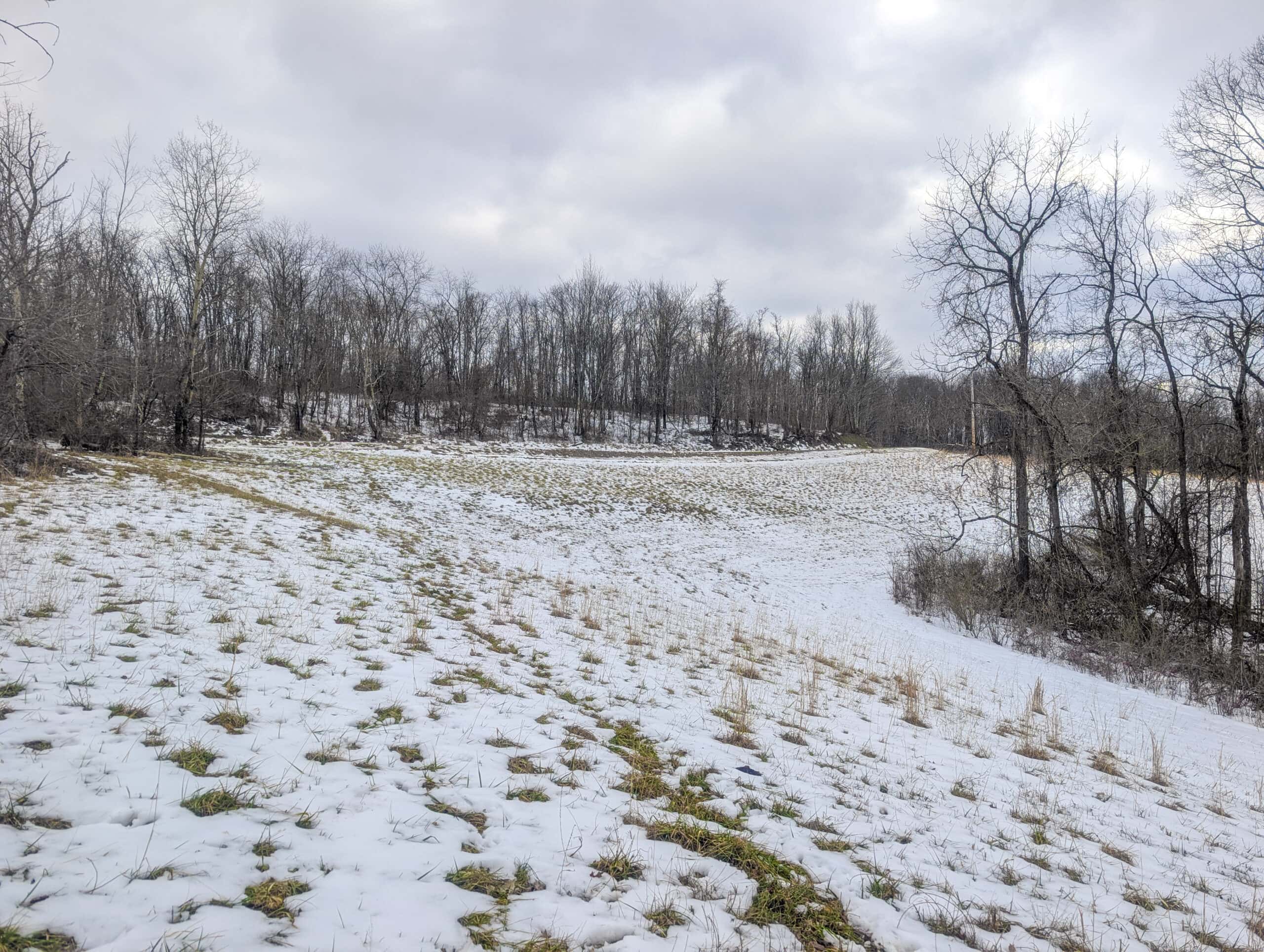 Tract 12- Outdoorsman Dream Hunting Property
