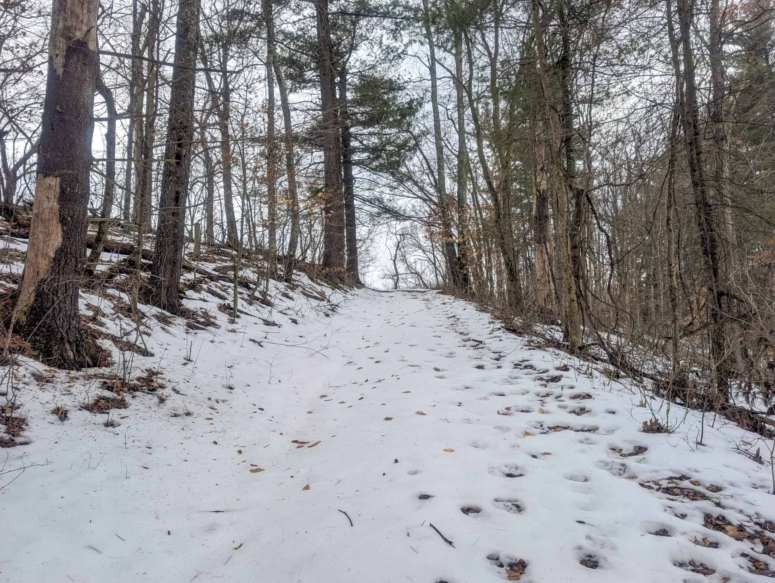 Tract 12- Outdoorsman Dream Hunting Property