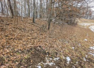 Tract 12- Outdoorsman Dream Hunting Property