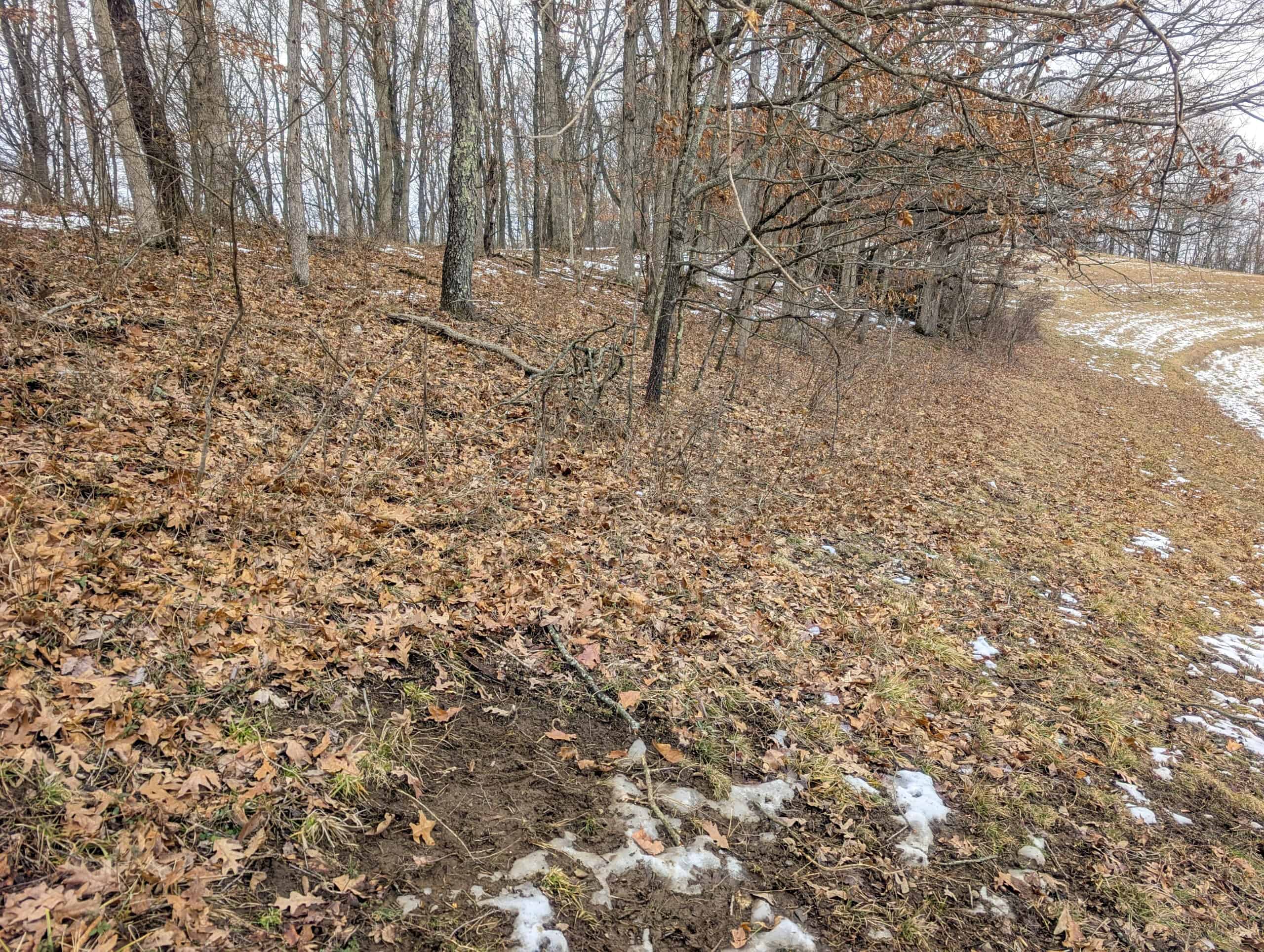 Tract 12- Outdoorsman Dream Hunting Property
