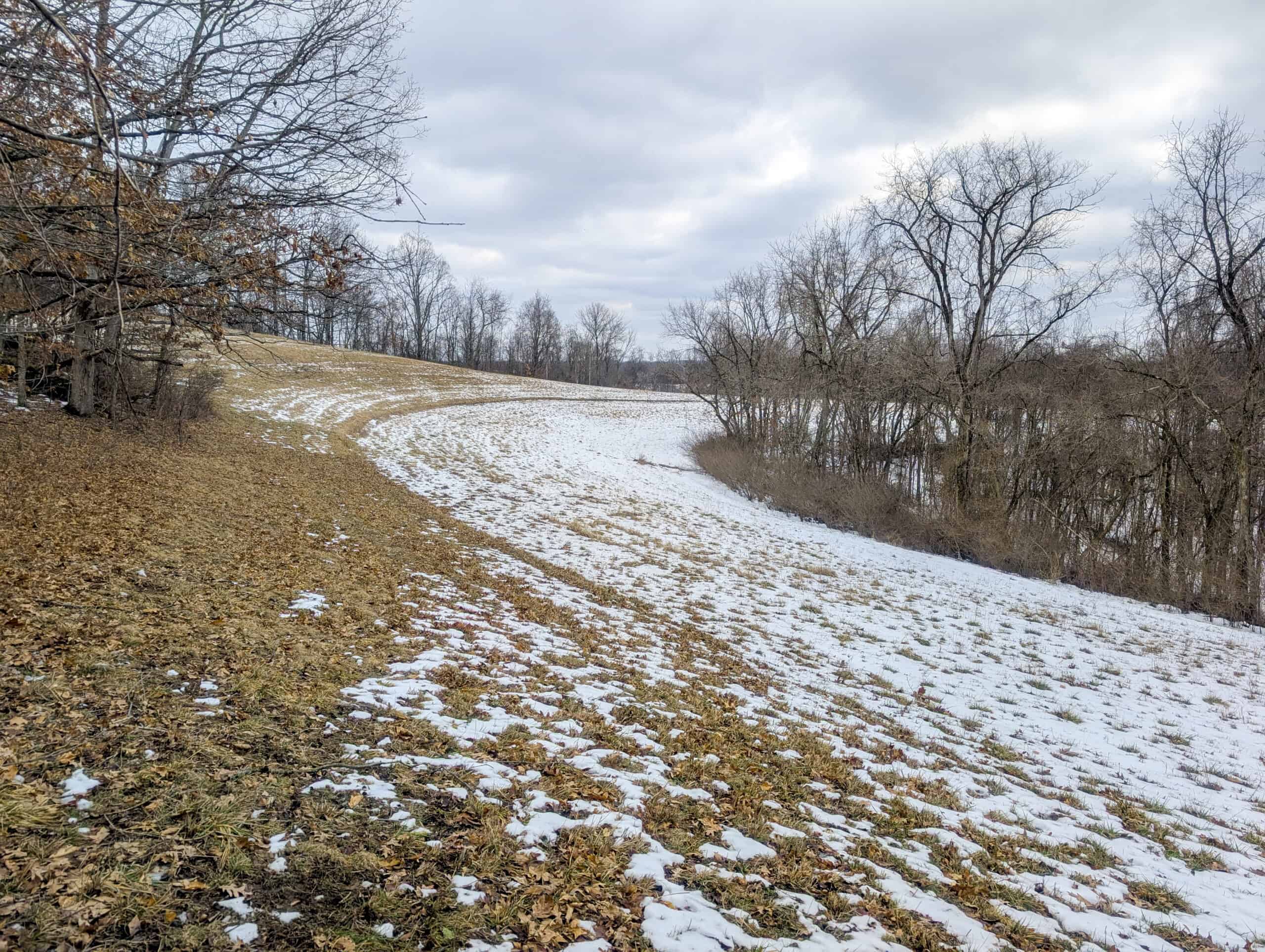 Tract 12- Outdoorsman Dream Hunting Property