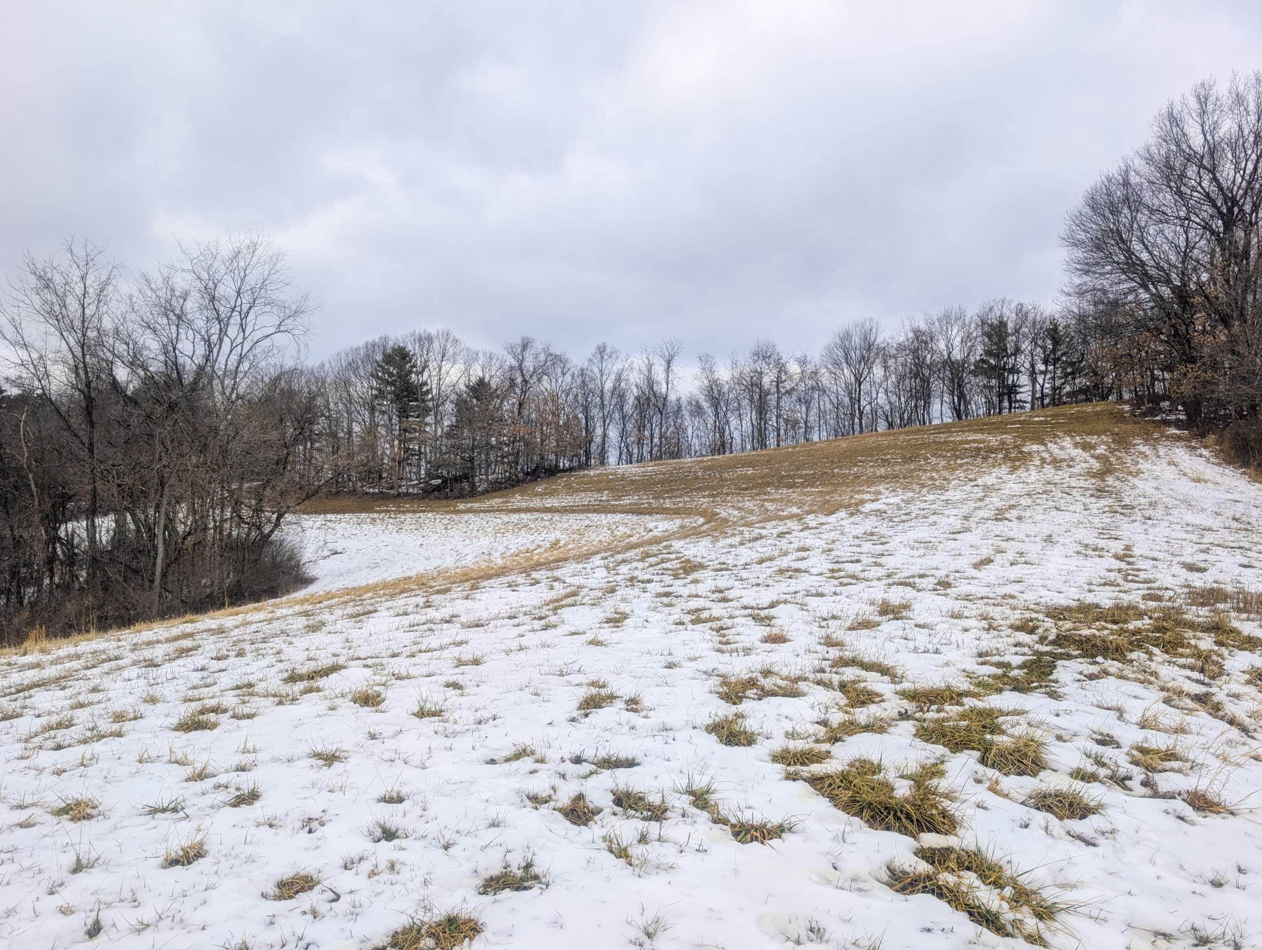 Tract 12- Outdoorsman Dream Hunting Property