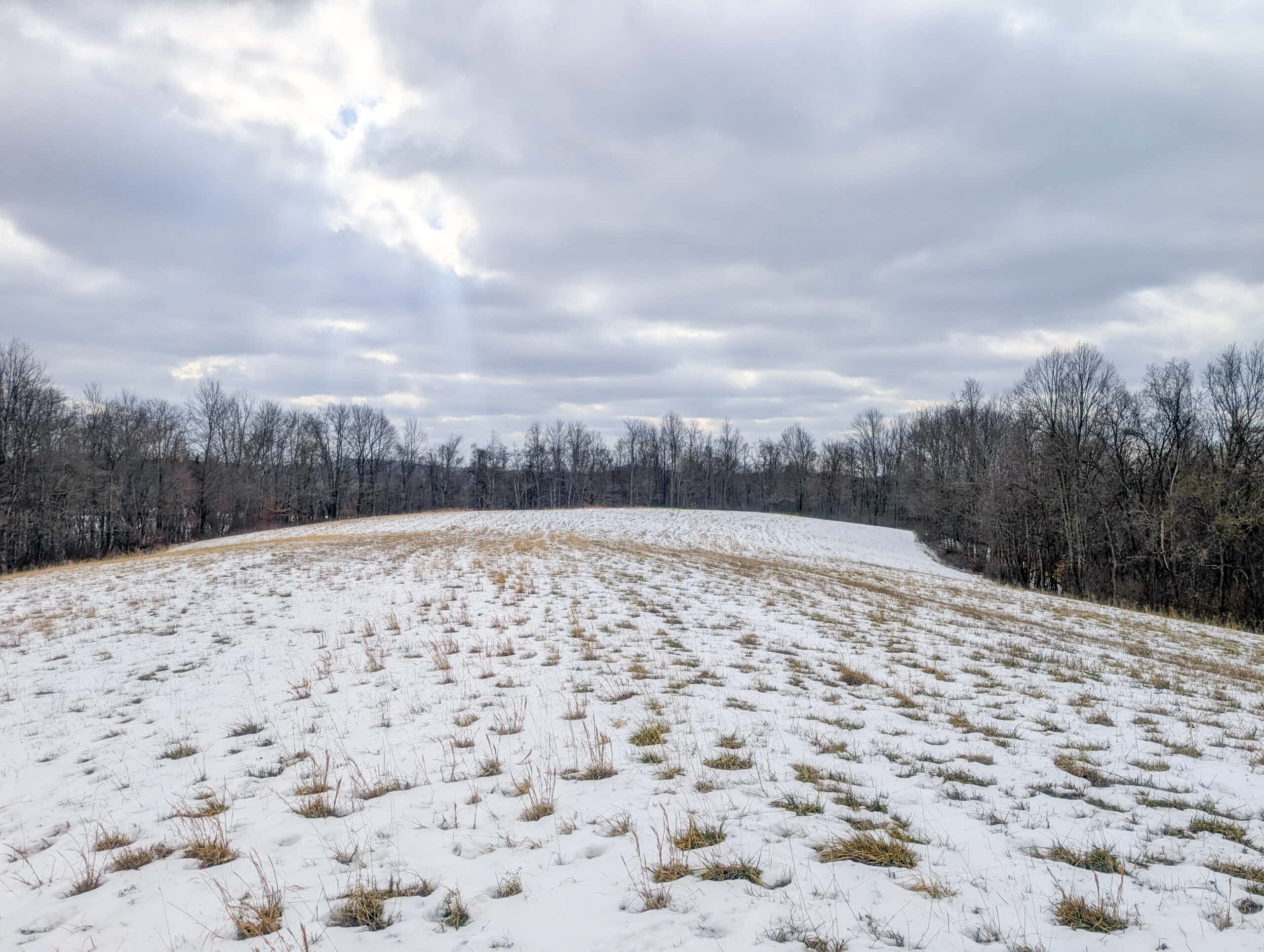 Tract 12- Outdoorsman Dream Hunting Property