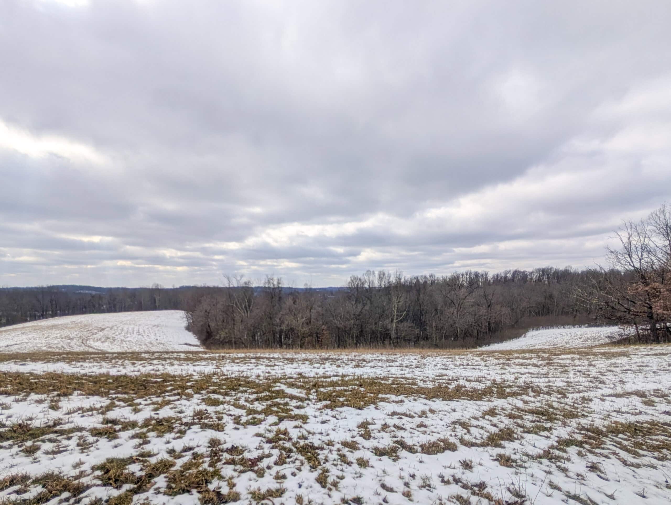 Tract 12- Outdoorsman Dream Hunting Property