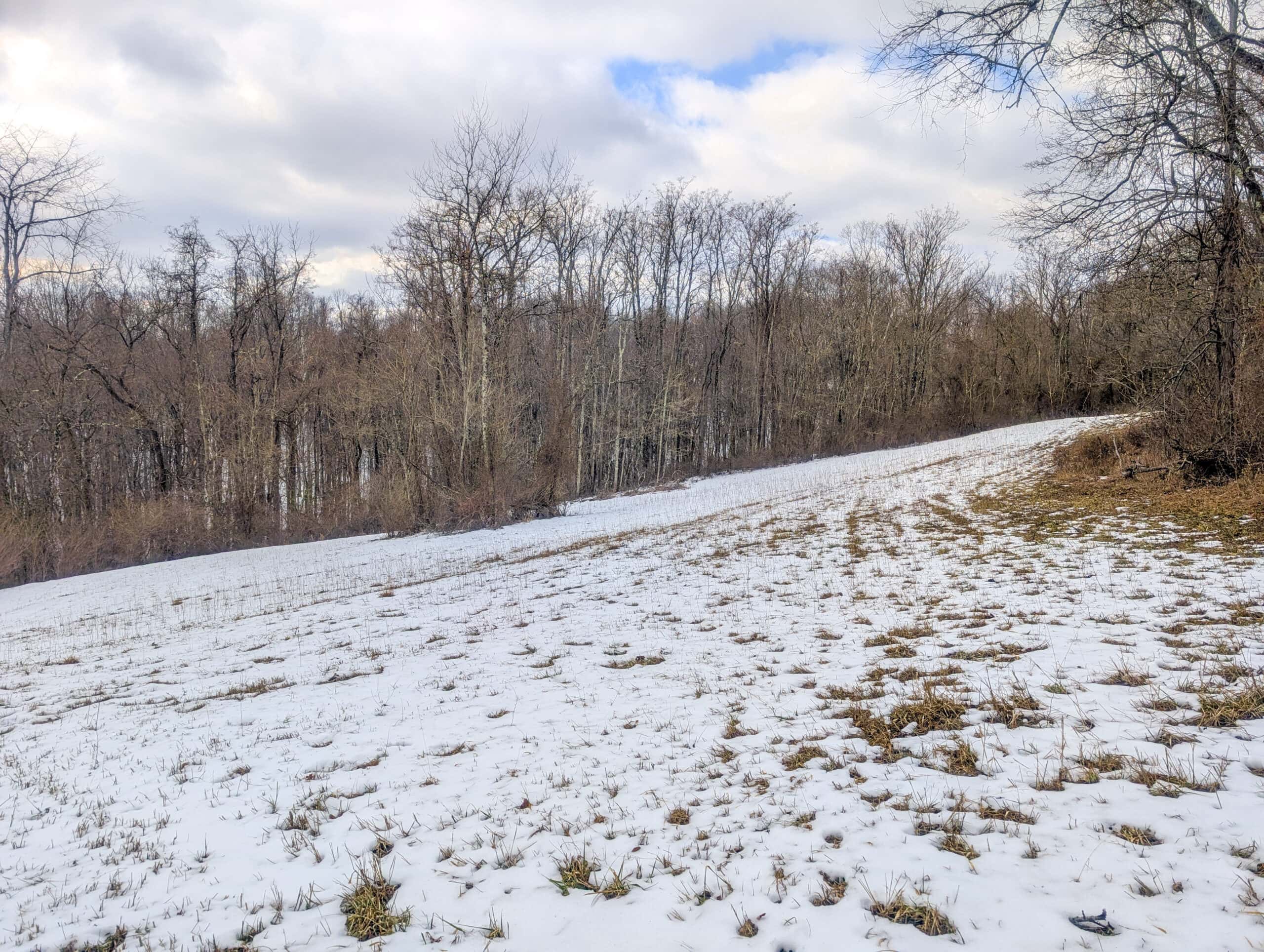 Tract 12- Outdoorsman Dream Hunting Property