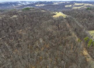 Tract 12- Outdoorsman Dream Hunting Property