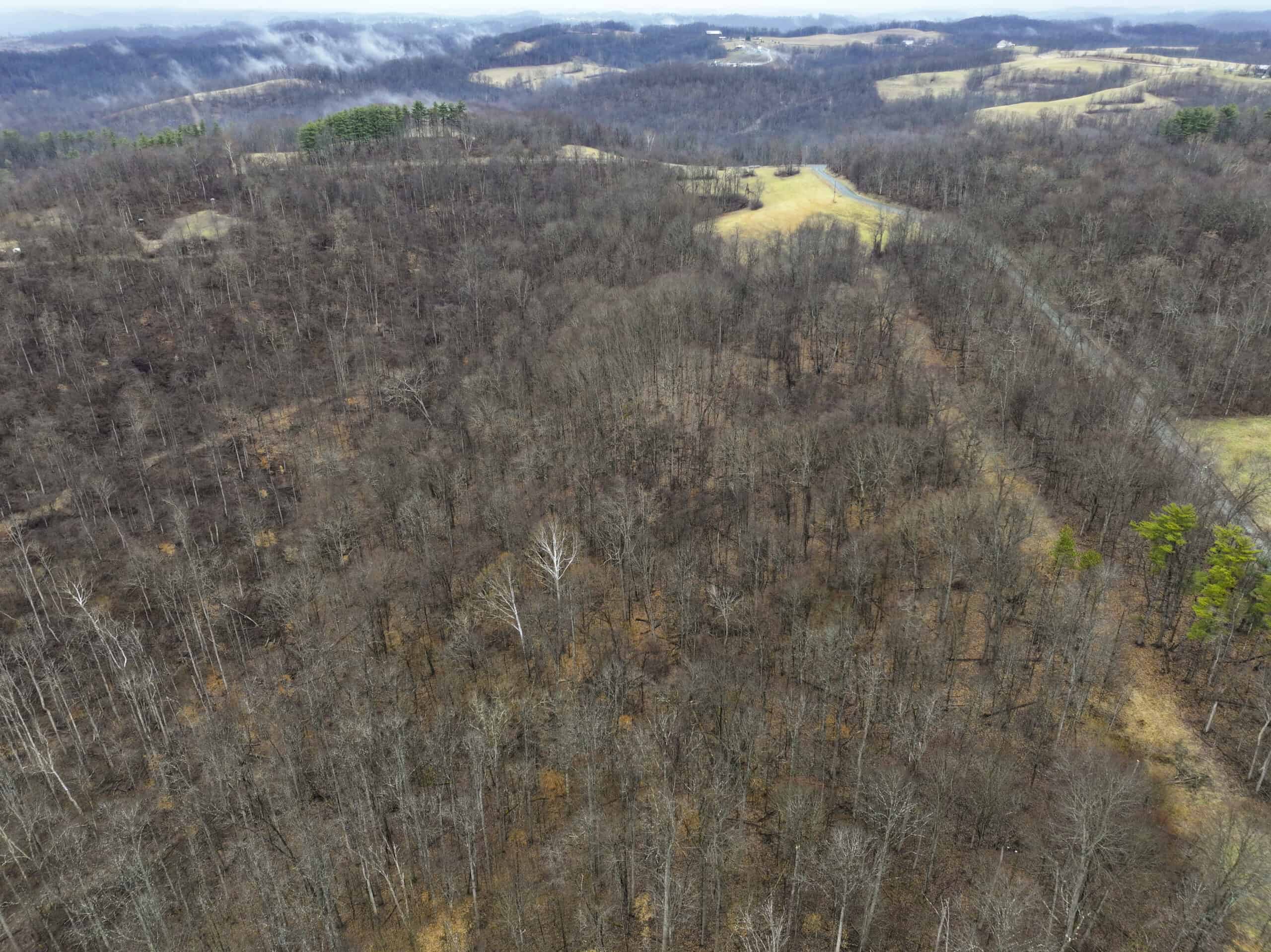 Tract 12- Outdoorsman Dream Hunting Property
