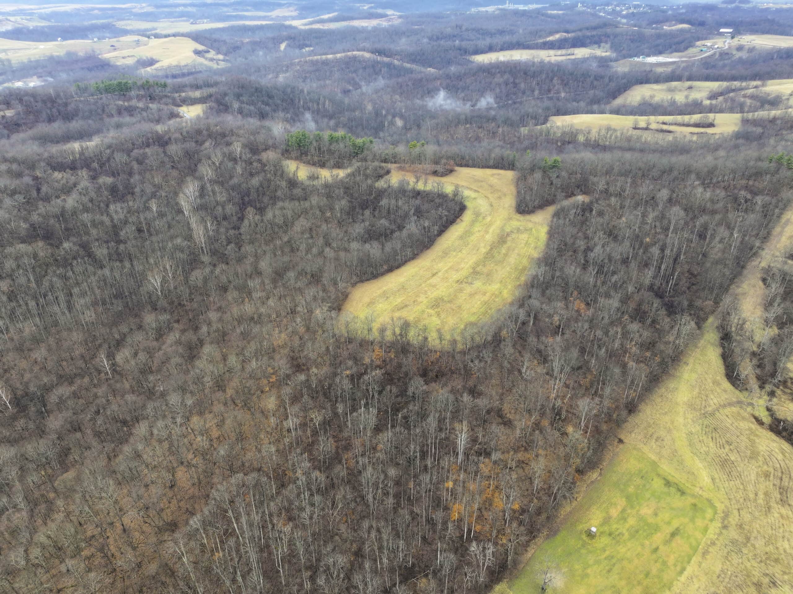 Tract 12- Outdoorsman Dream Hunting Property
