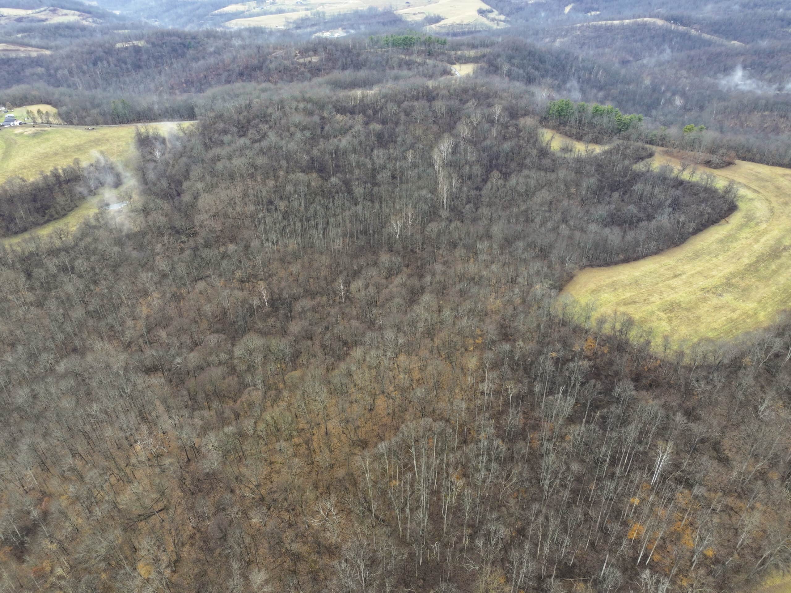 Tract 12- Outdoorsman Dream Hunting Property