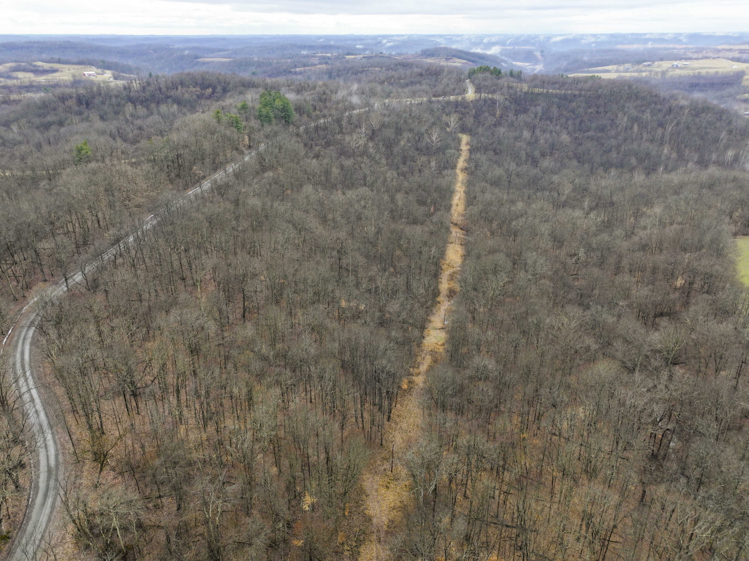 Tract 12- Outdoorsman Dream Hunting Property