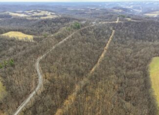 Tract 12- Outdoorsman Dream Hunting Property