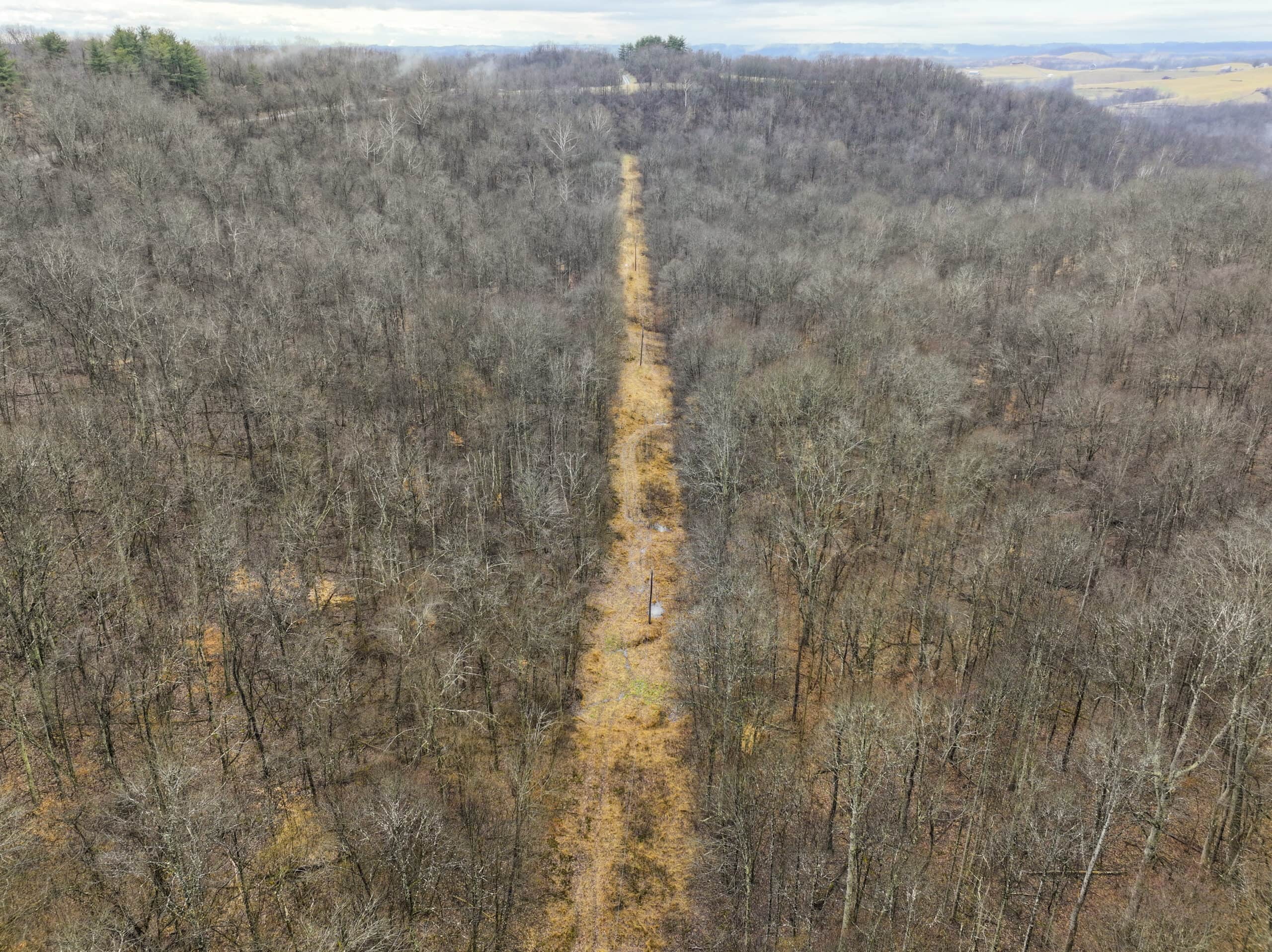 Tract 12- Outdoorsman Dream Hunting Property