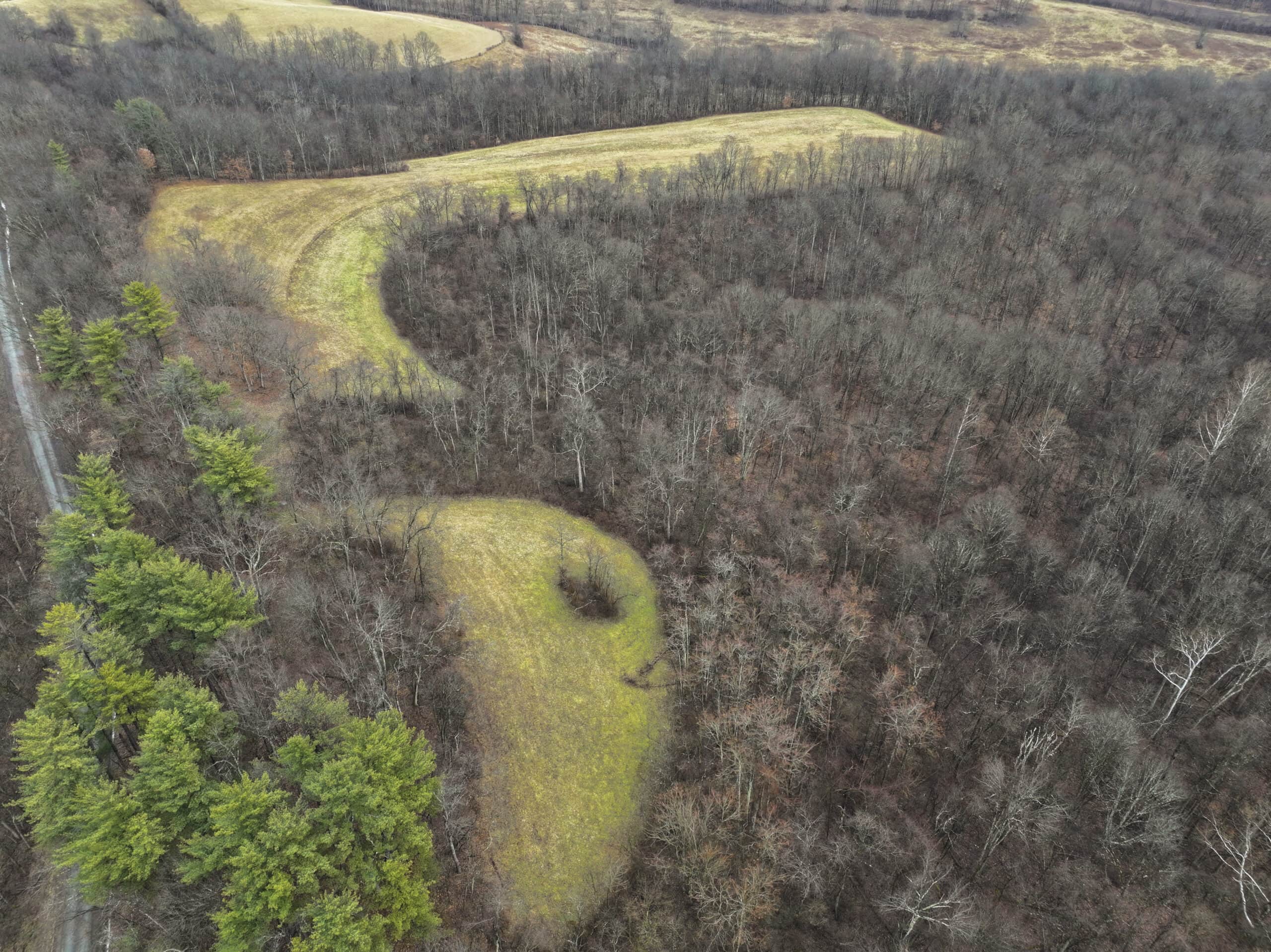 Tract 12- Outdoorsman Dream Hunting Property