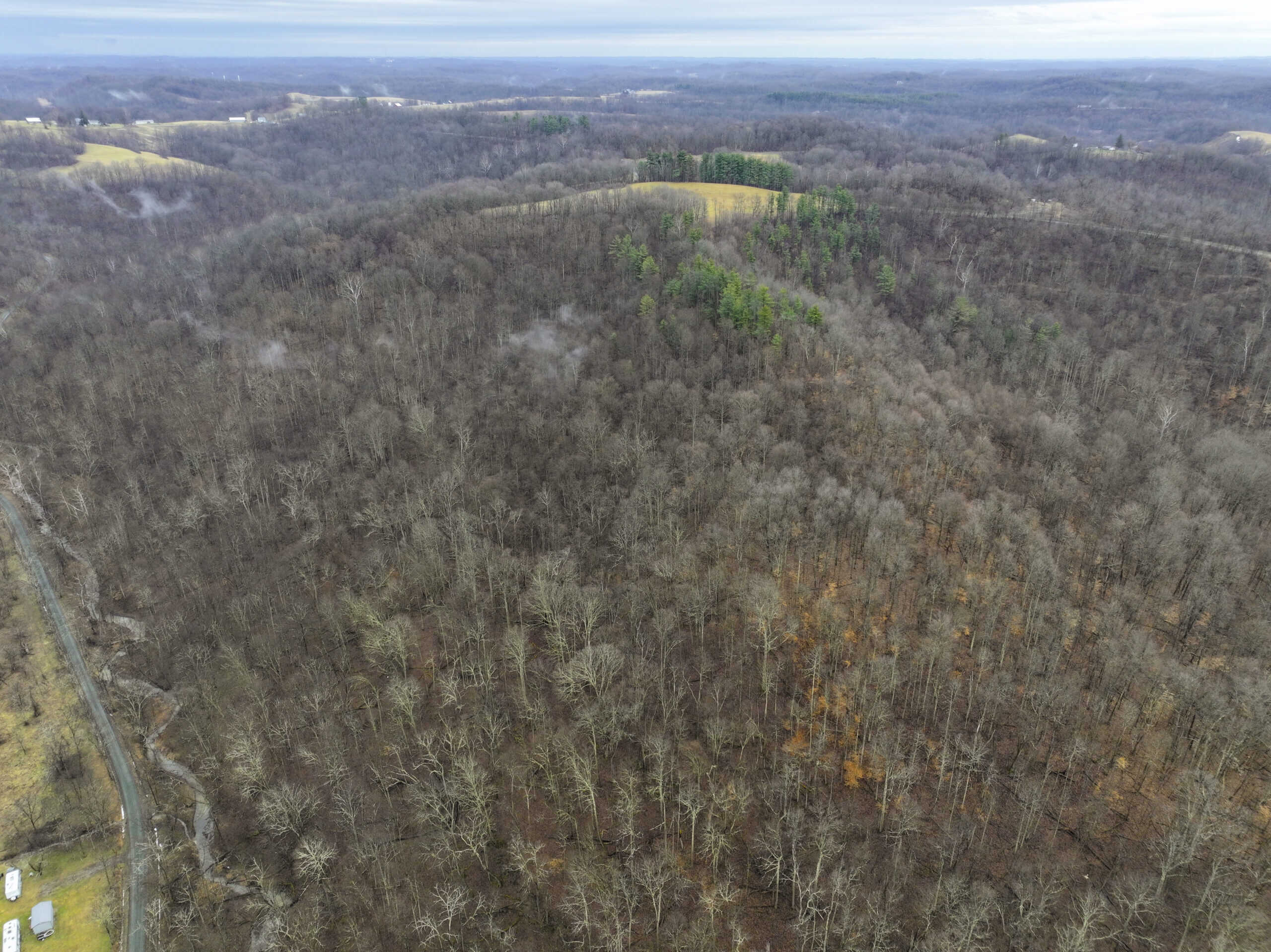 Tract 12- Outdoorsman Dream Hunting Property