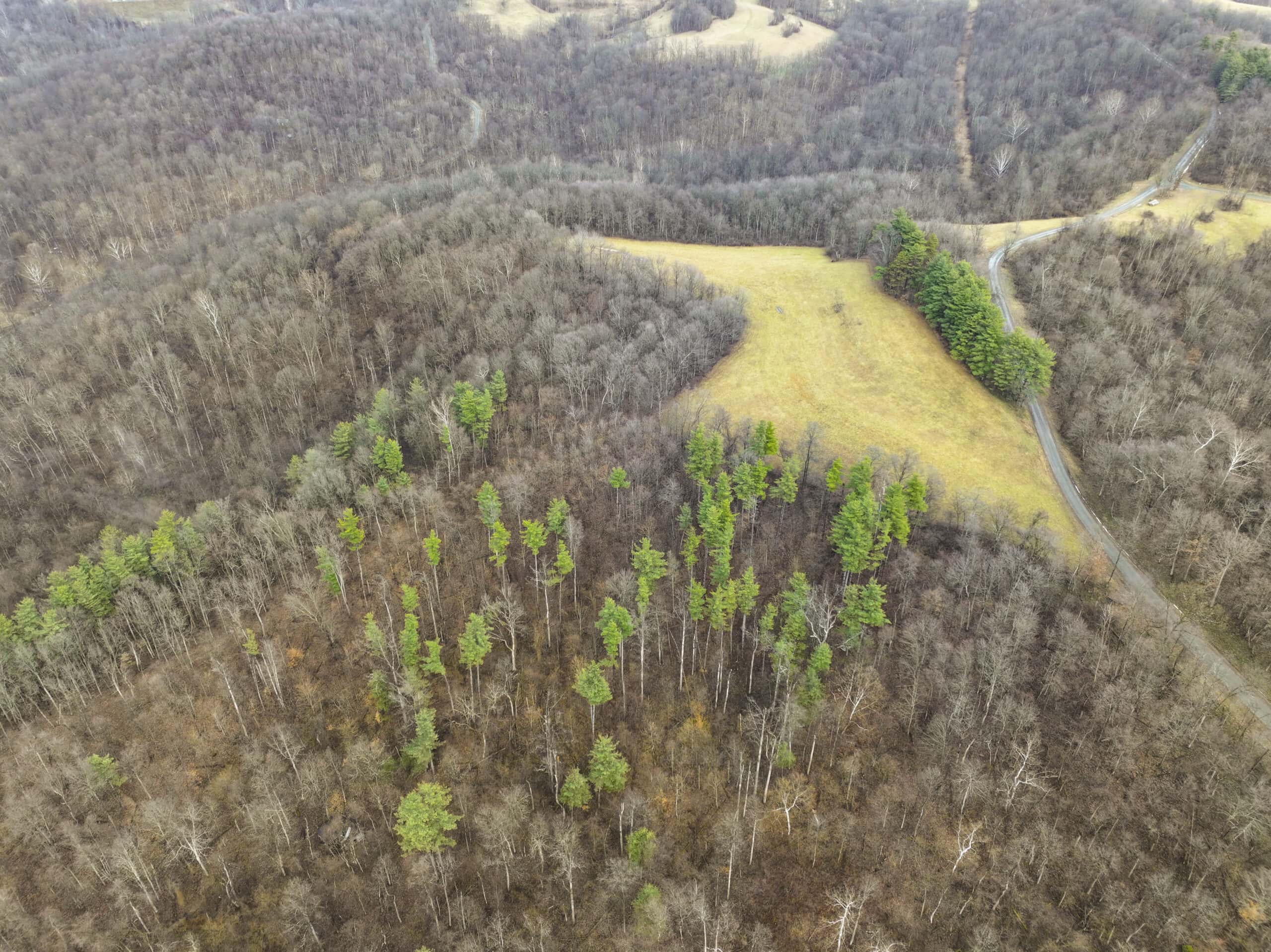 Tract 12- Outdoorsman Dream Hunting Property