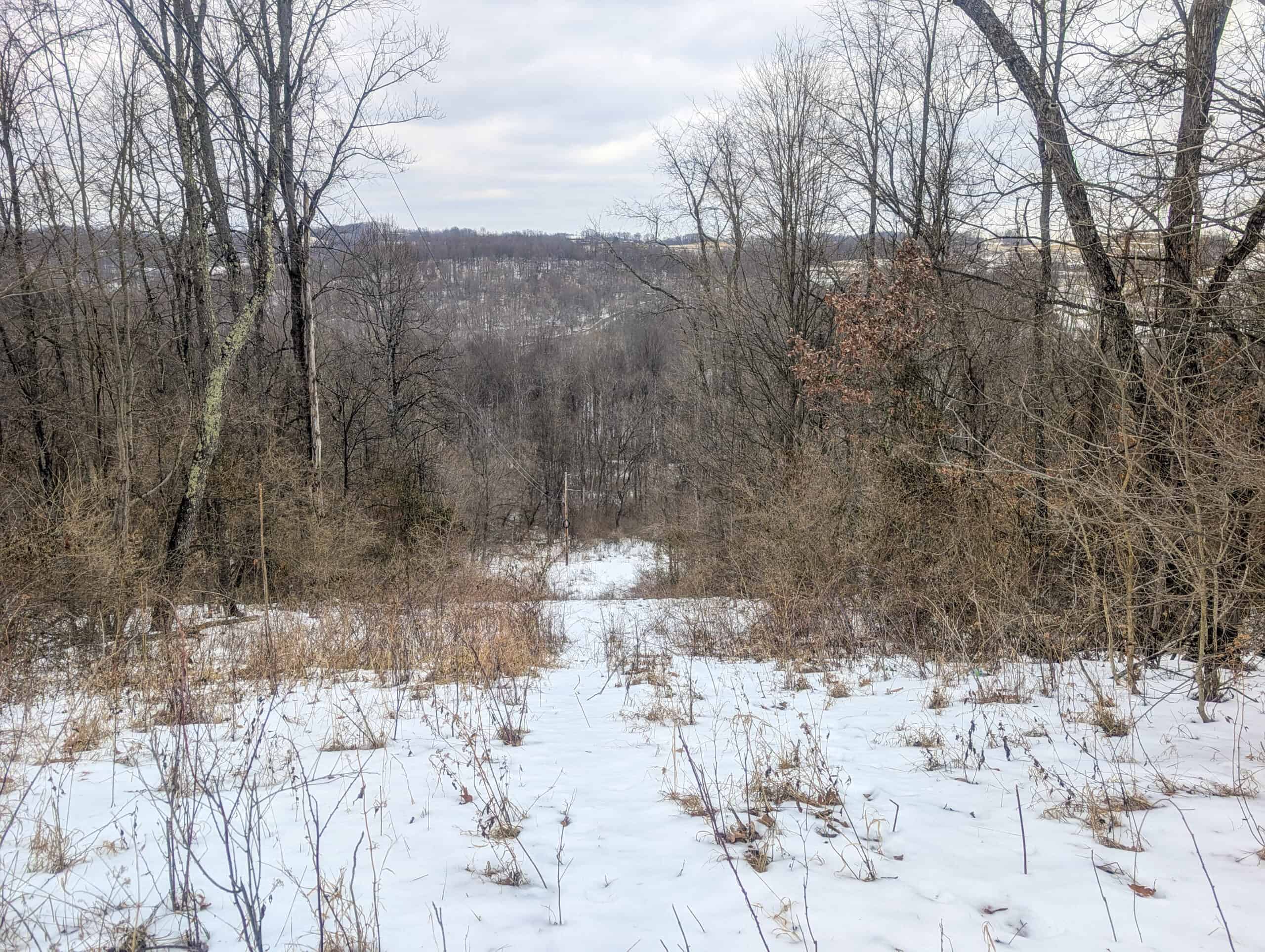 Tract 12- Outdoorsman Dream Hunting Property