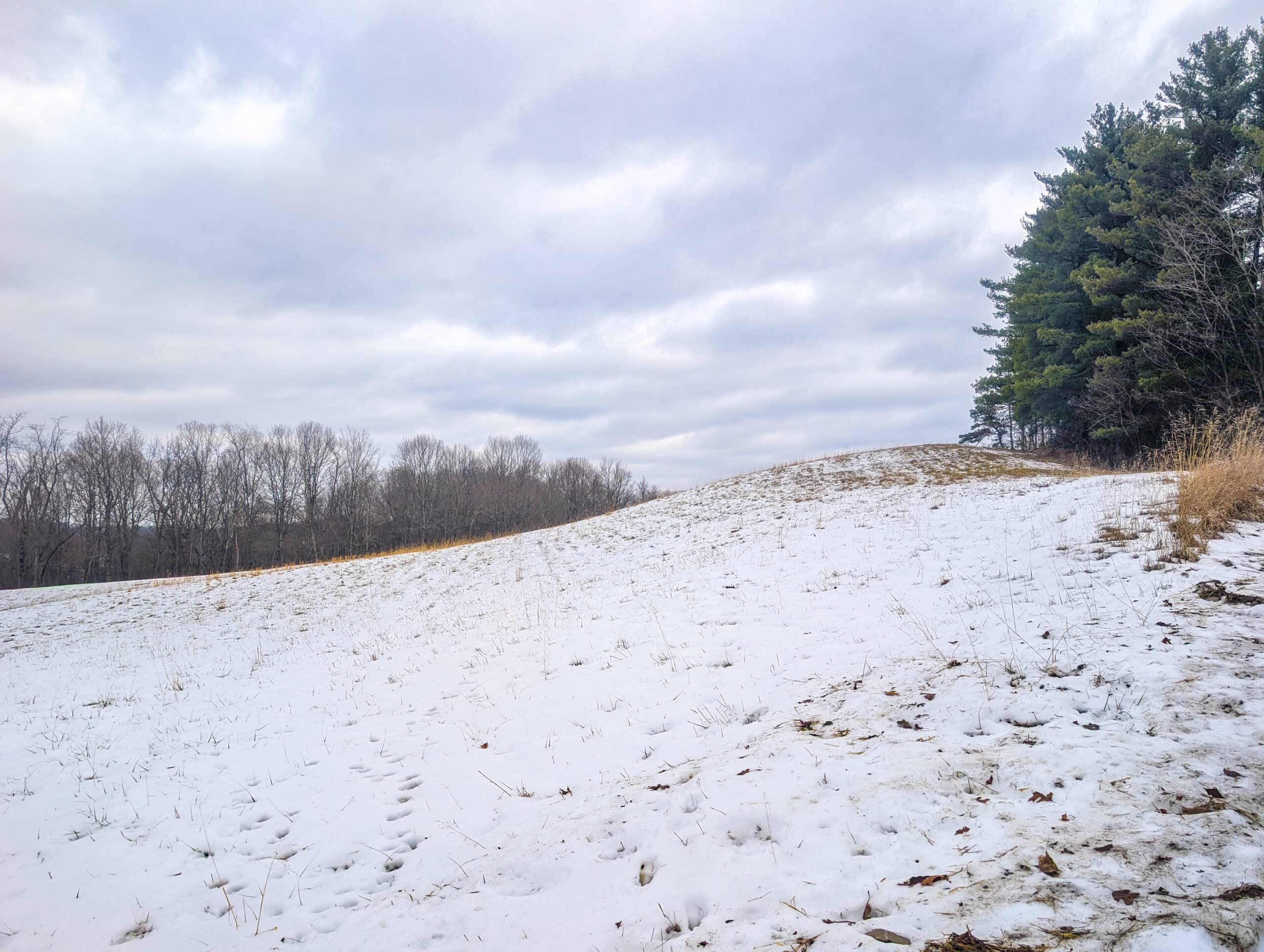 Tract 12- Outdoorsman Dream Hunting Property
