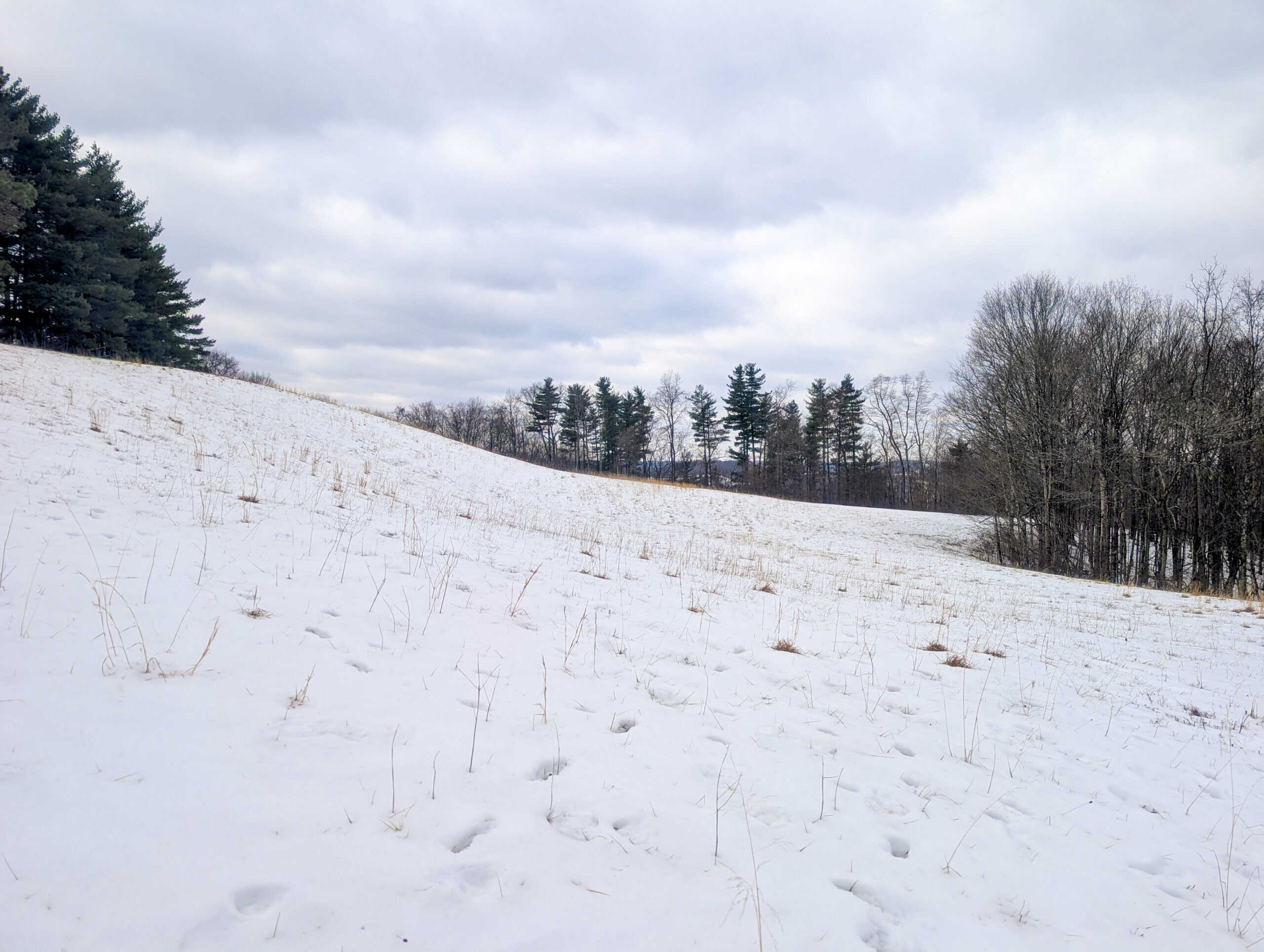 Tract 12- Outdoorsman Dream Hunting Property