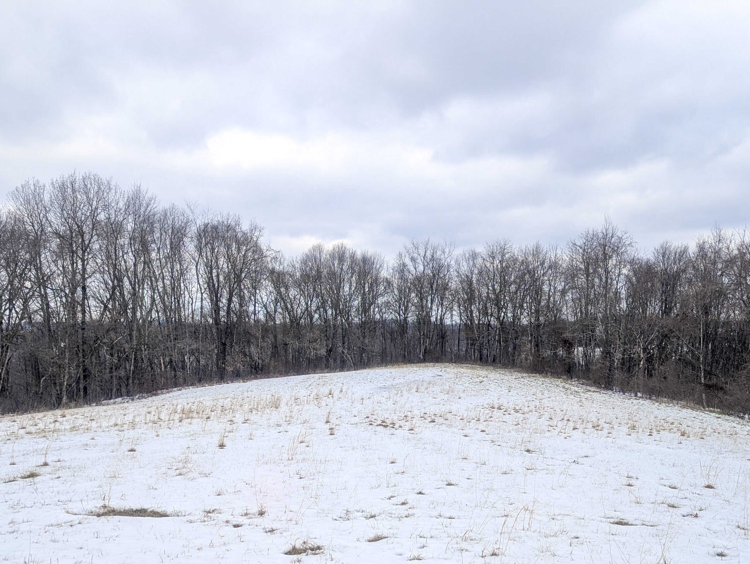 Tract 12- Outdoorsman Dream Hunting Property