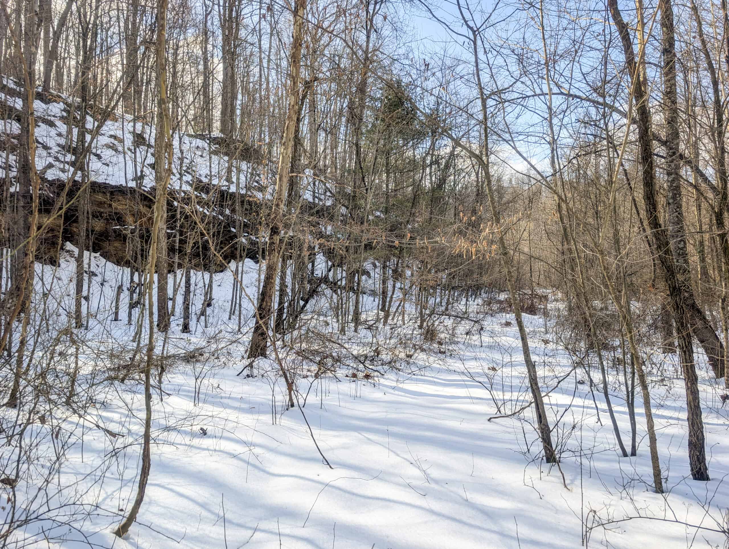 Tract 13 – This old home site along the road with split potential