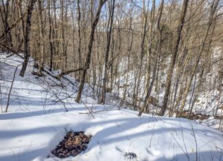 Tract 13 – This old home site along the road with split potential