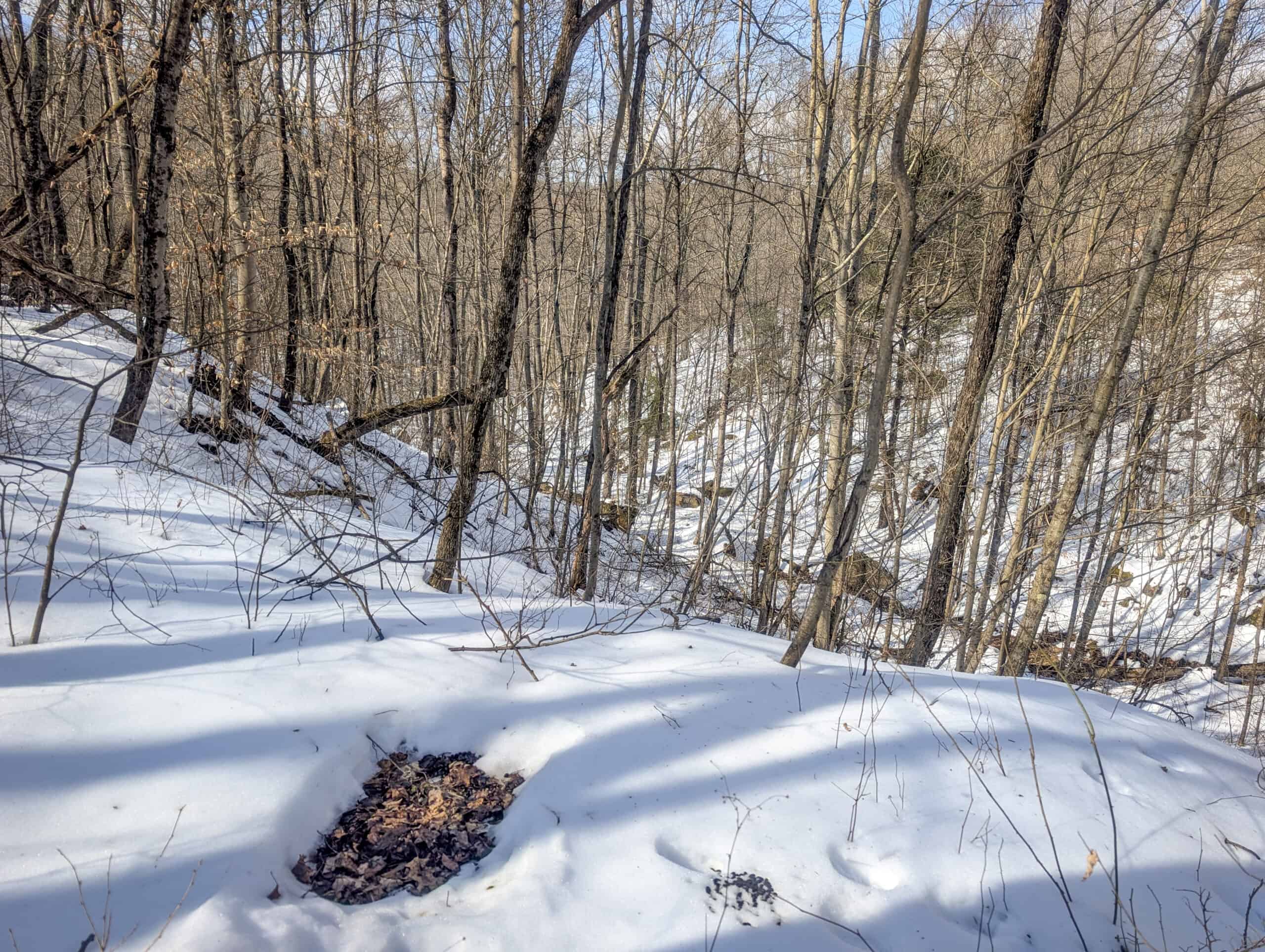 Tract 13 – This old home site along the road with split potential