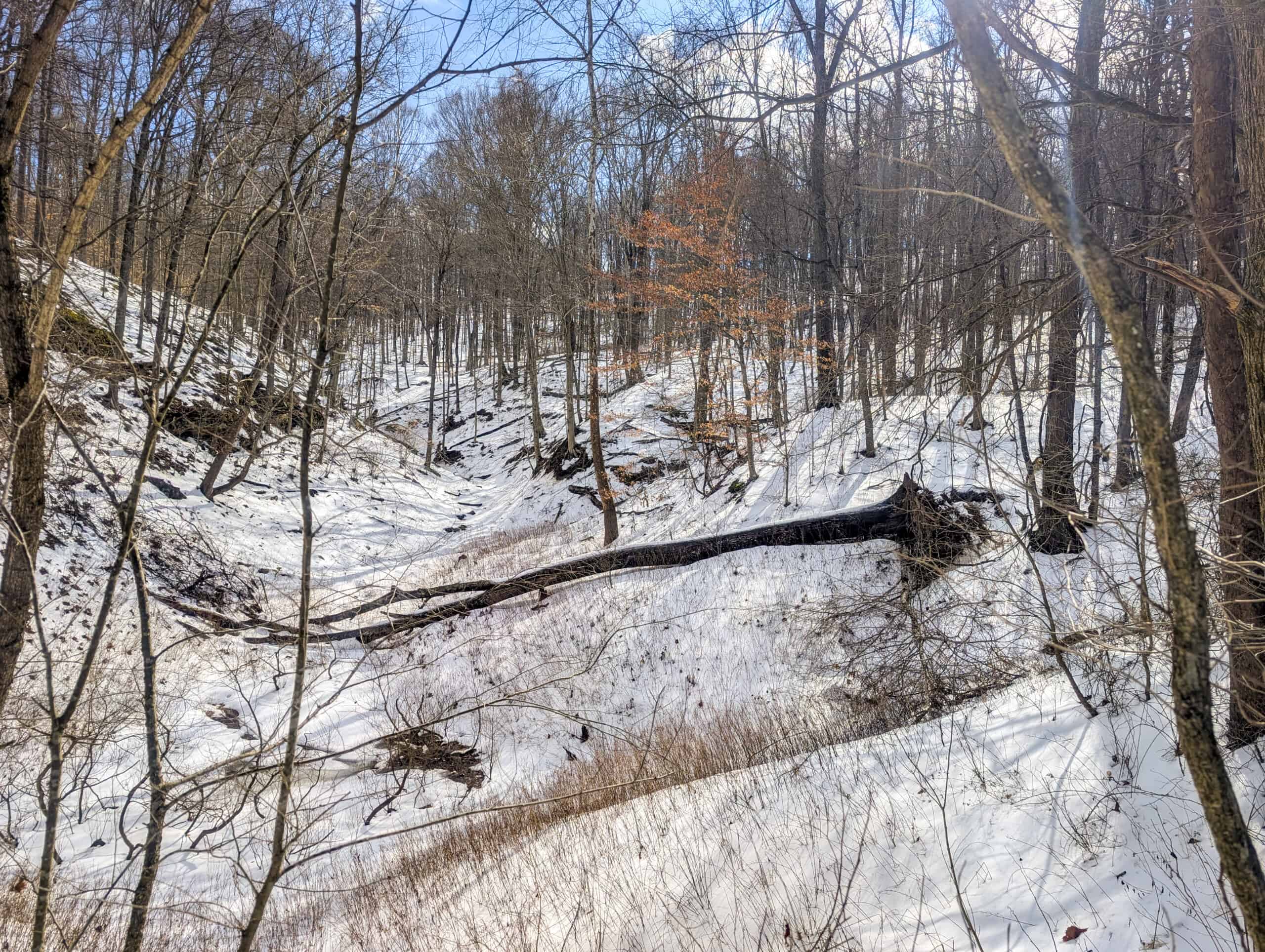 Tract 13 – This old home site along the road with split potential