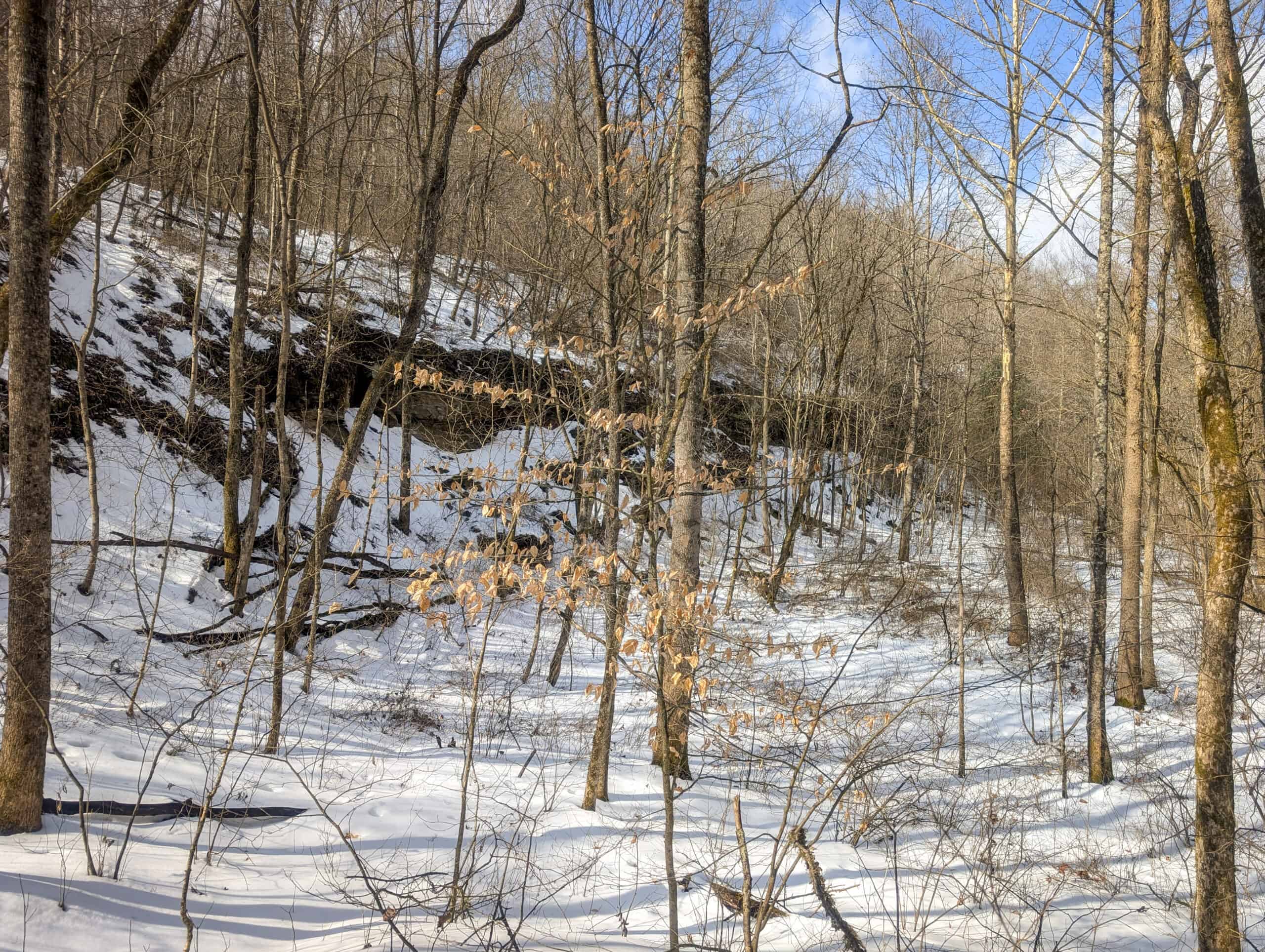 Tract 13 – This old home site along the road with split potential